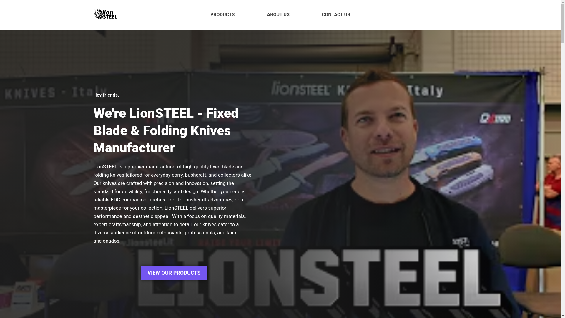 website screenshot of https://thelionsteel.pages.dev/