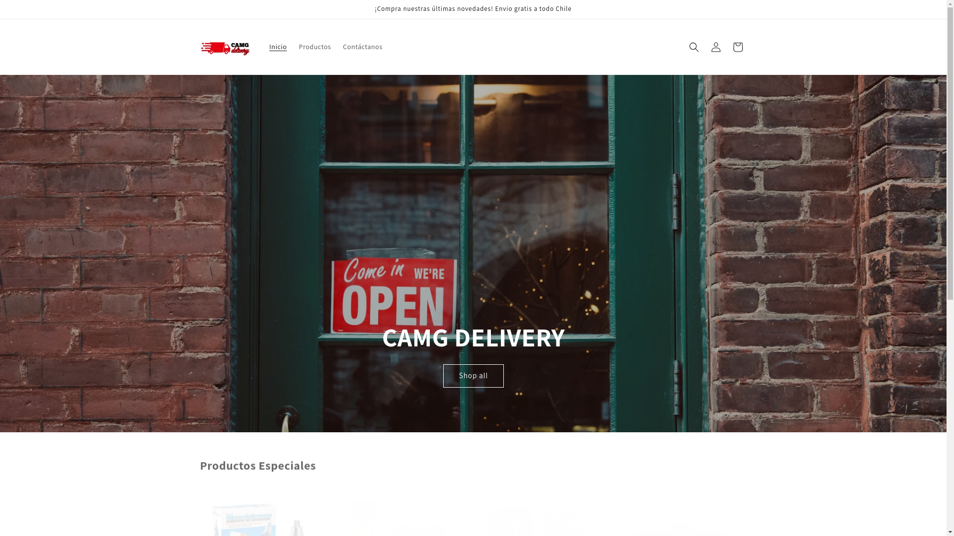 website screenshot of https://camgdelivery.com/