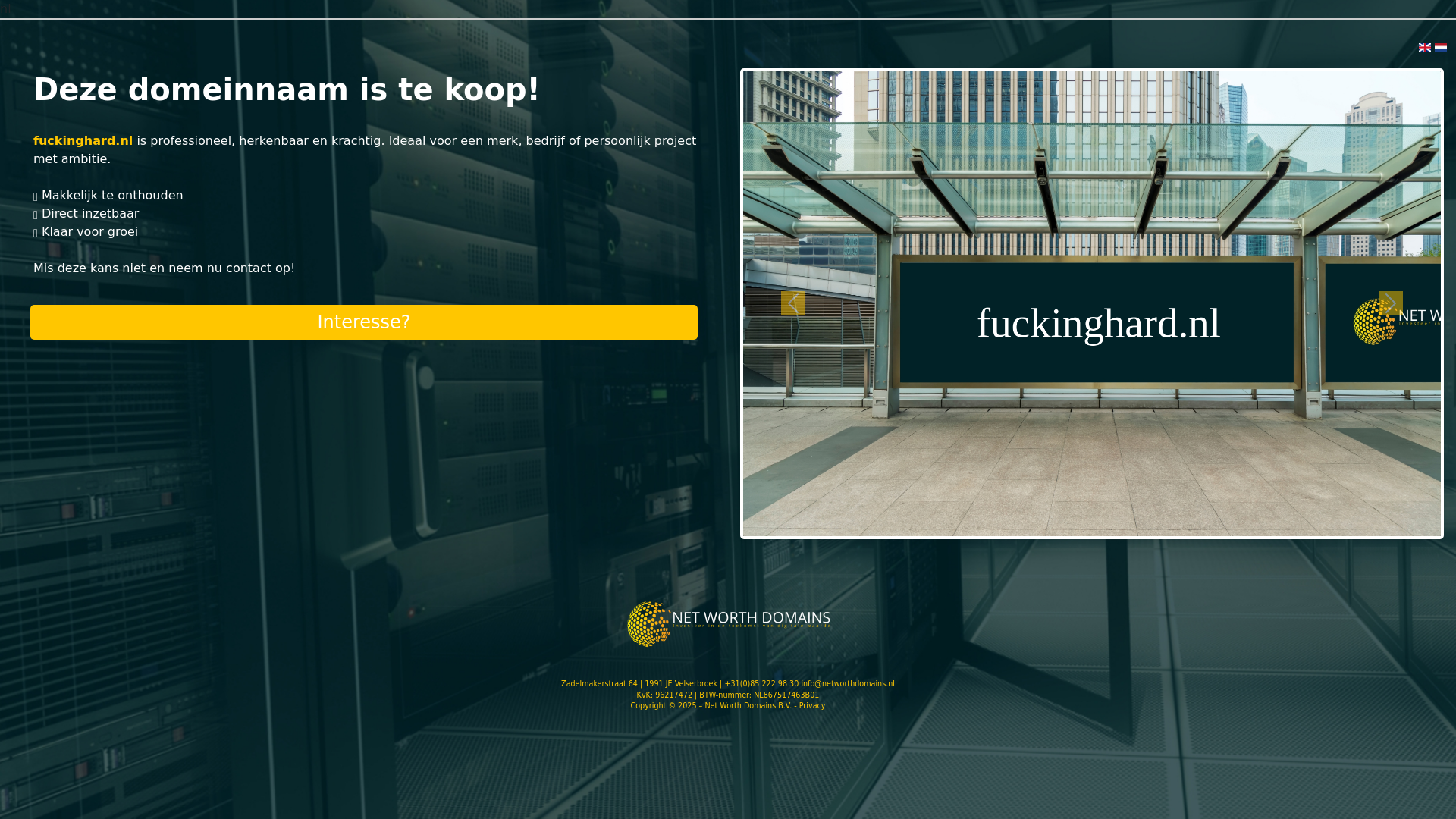 website screenshot of https://fuckinghard.nl/