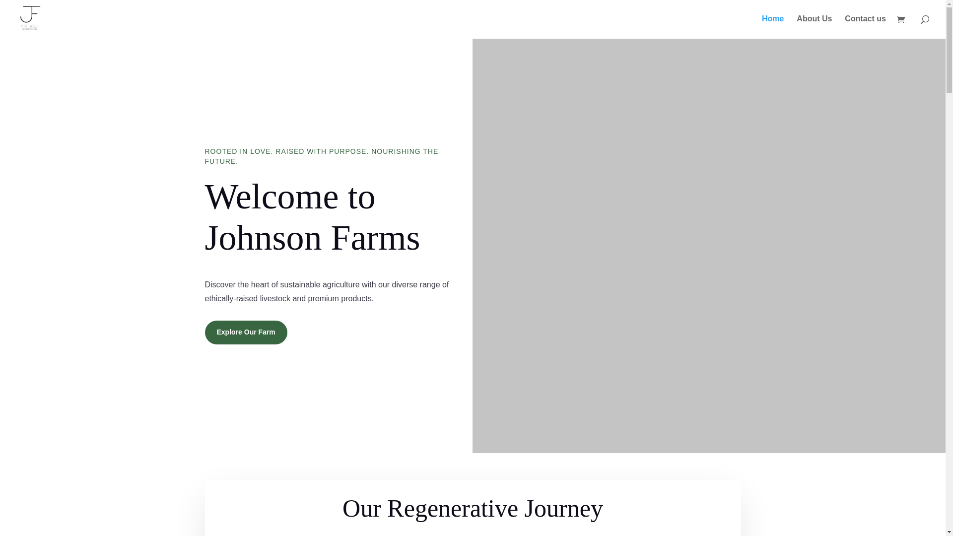 website screenshot of https://onlinejohnsonfarms.com/