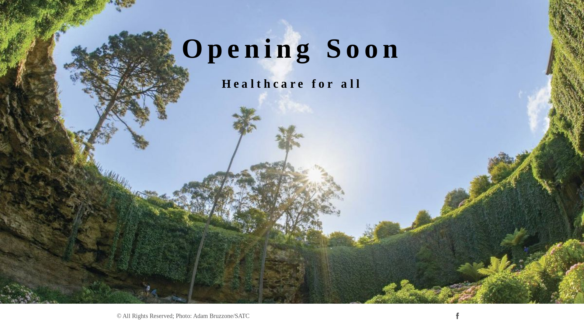website screenshot of https://lchealthhub.com/