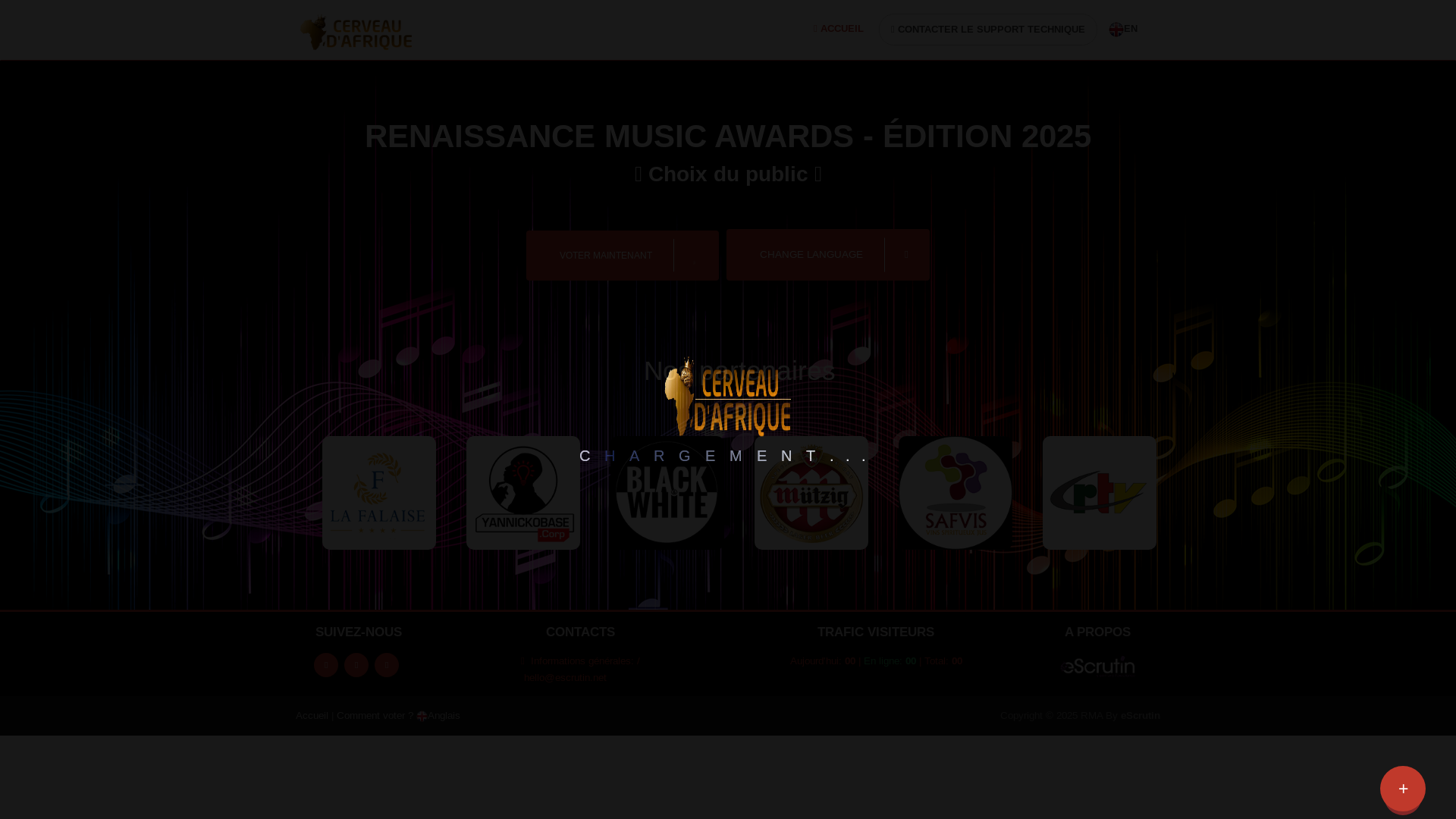 website screenshot of https://cerveaudafrique.com/