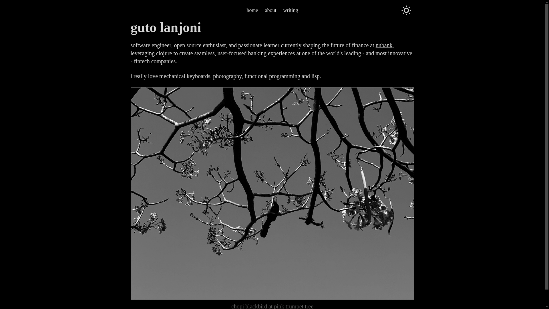 website screenshot of https://lanjoni.dev/