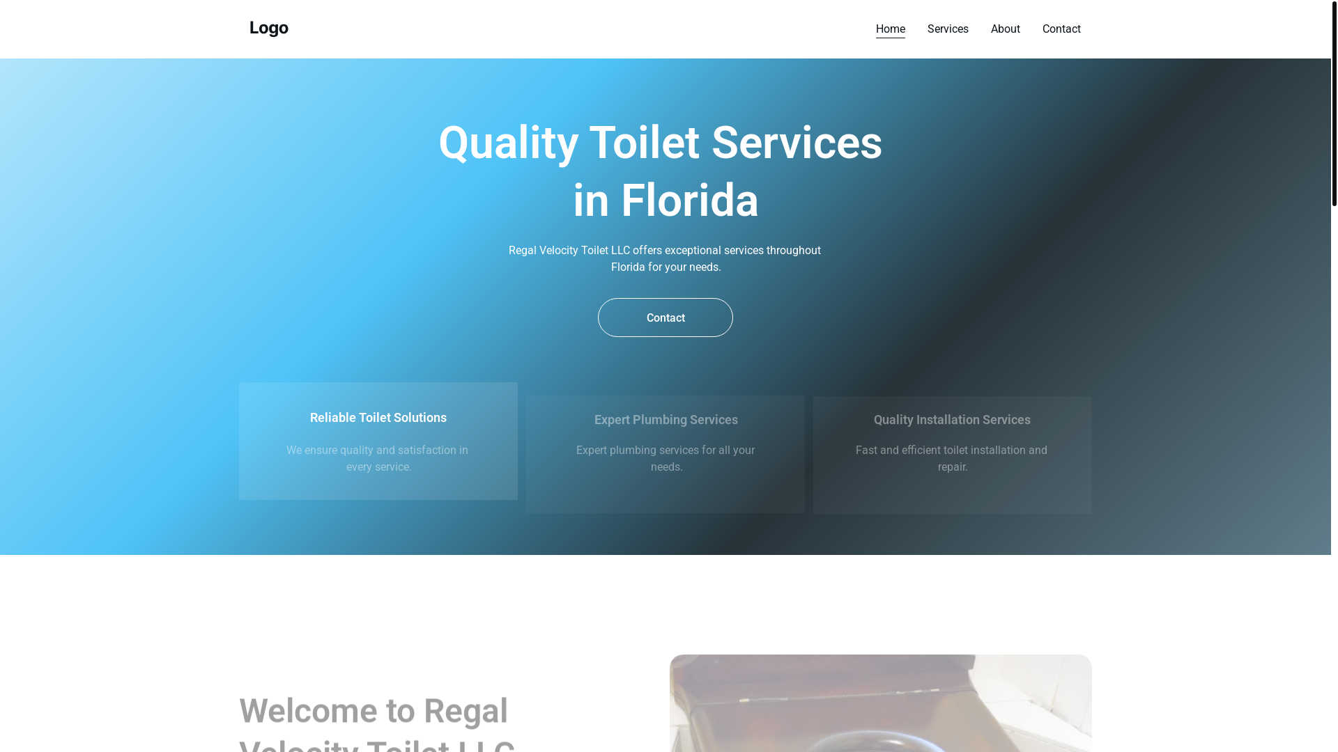 website screenshot of https://regalvelocitytoiletllc.site/