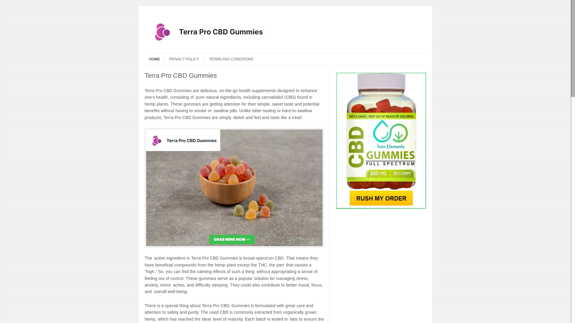 website screenshot of https://us-terraprocbd.com/