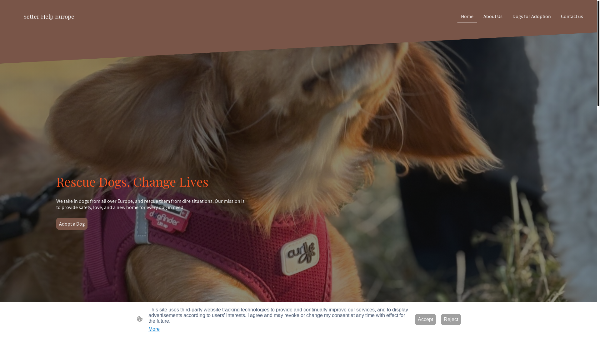 website screenshot of https://setterhelpeurope.com/