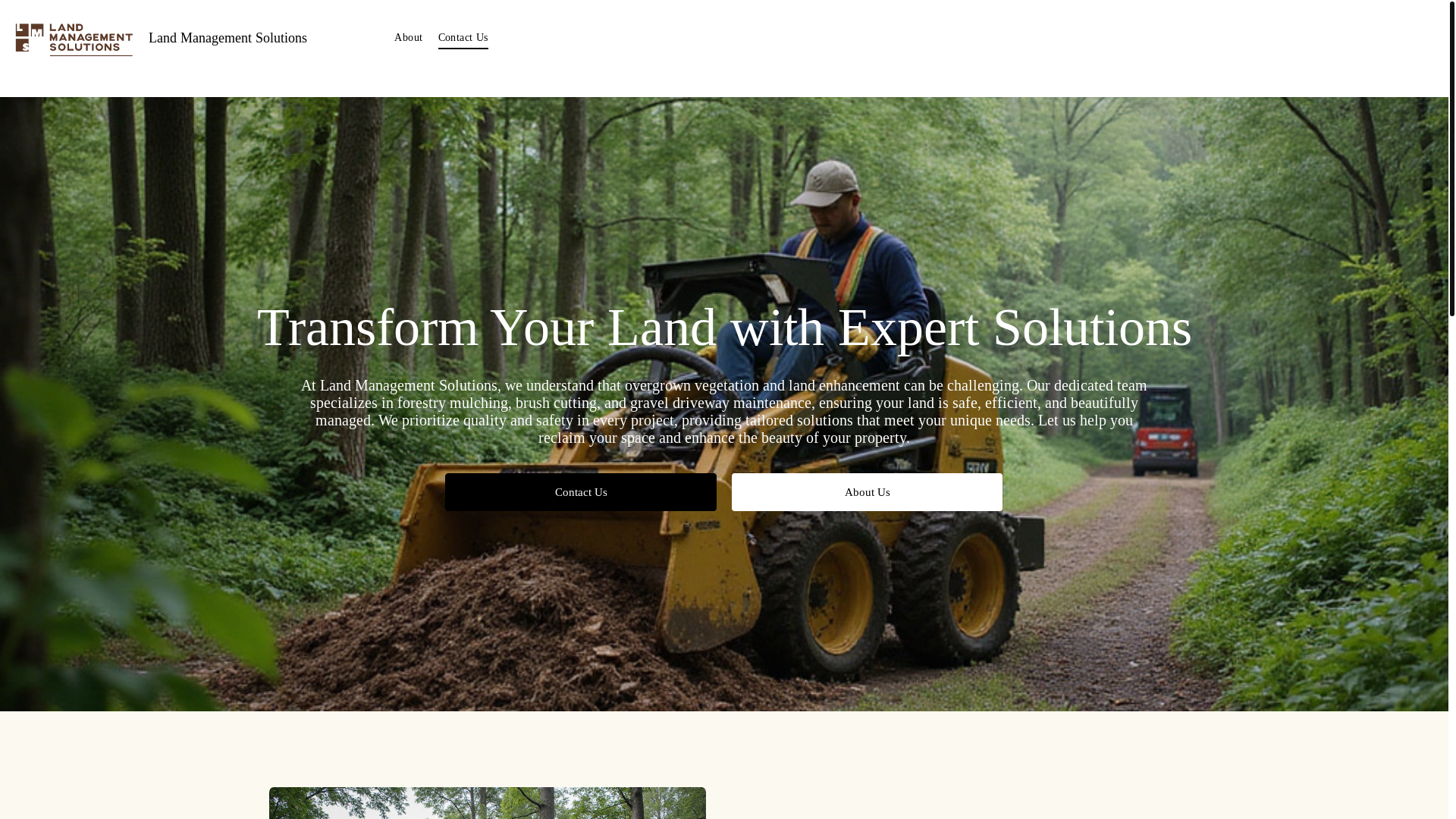 website screenshot of https://landmanagementsolutionsllc.net/