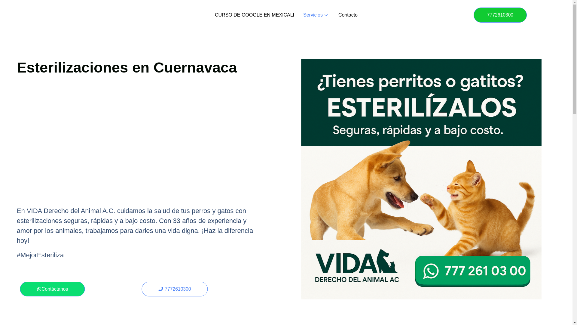 website screenshot of https://esterilizacionesencuernavaca.com/