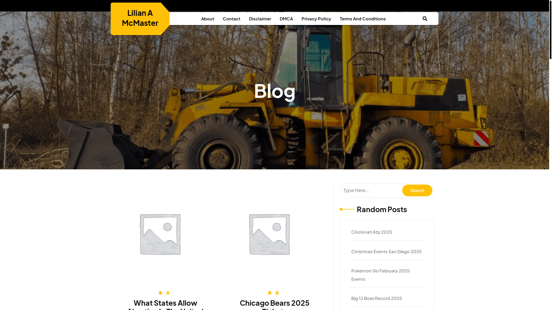 website screenshot of https://lilianamcmaster.pages.dev/