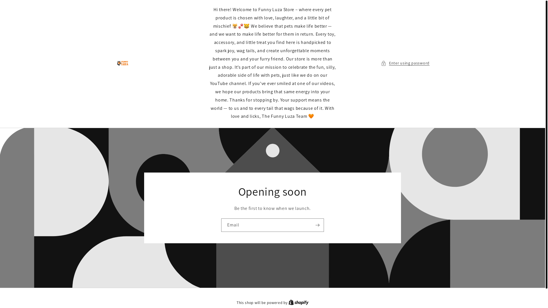 website screenshot of https://funnyluzastore.com/