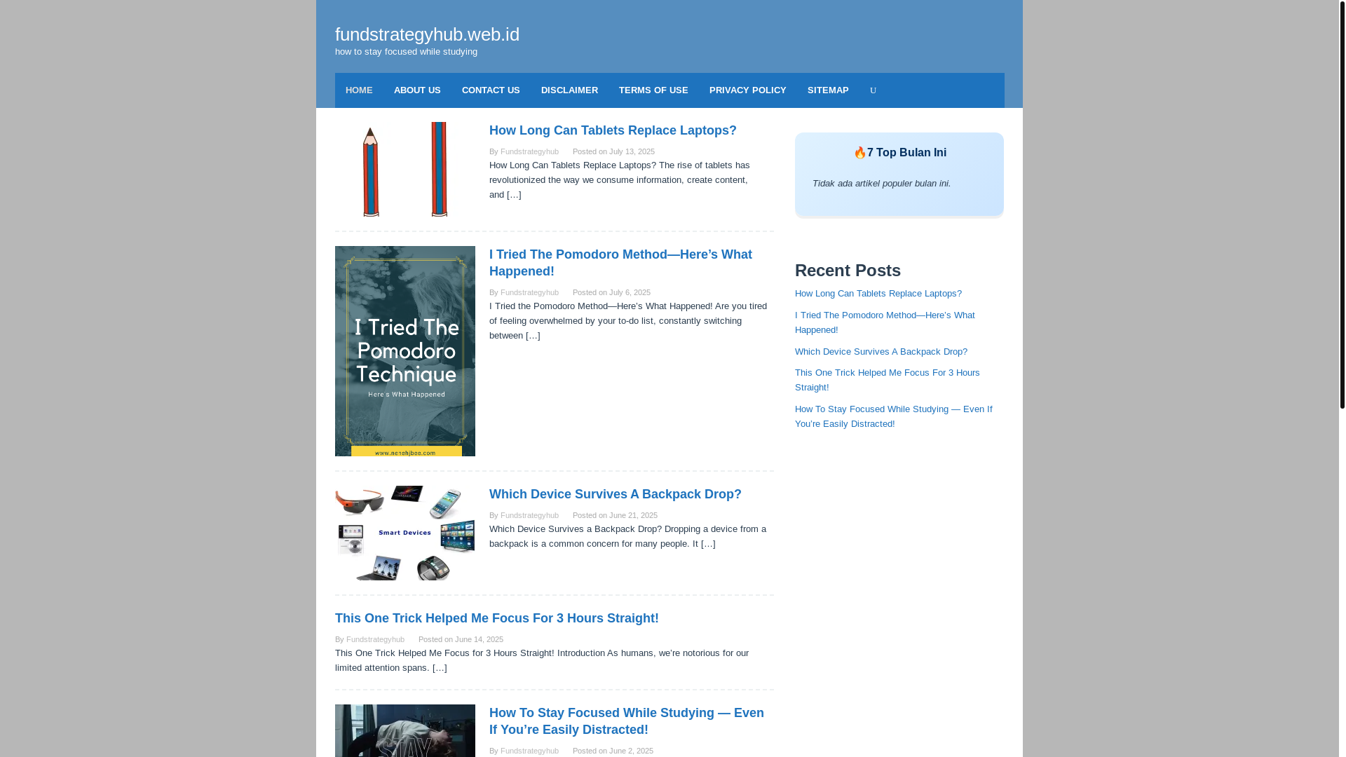website screenshot of https://fundstrategyhub.web.id/
