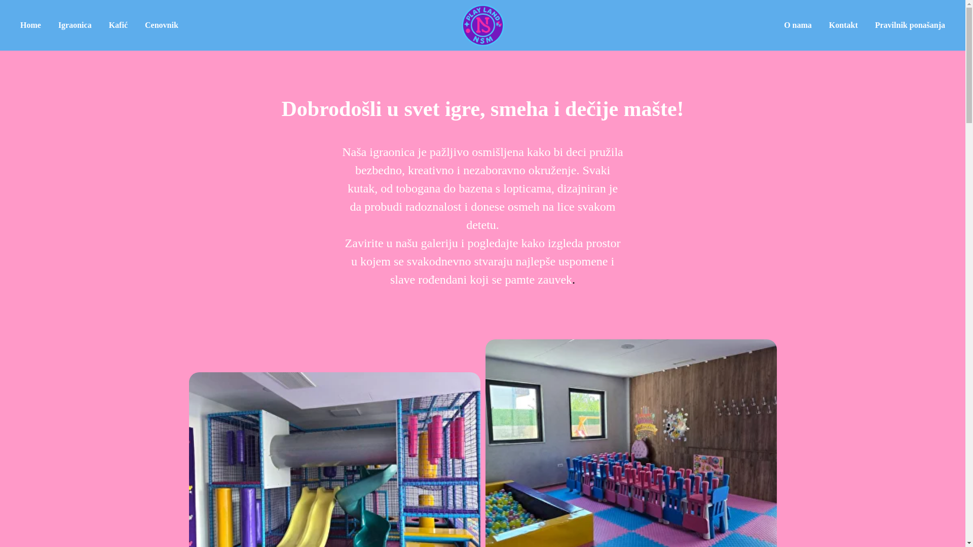 website screenshot of https://playlandnsm.com/