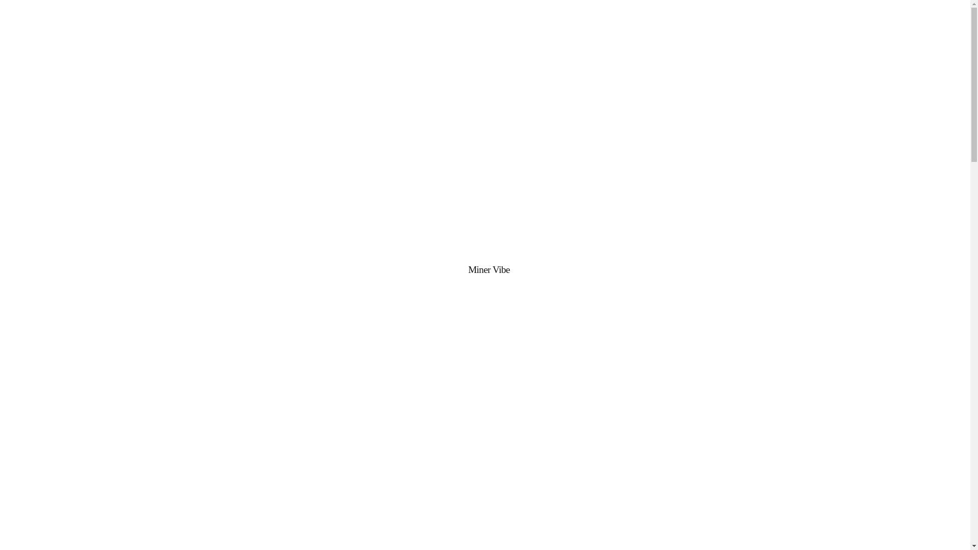 website screenshot of https://minervibecv.info/
