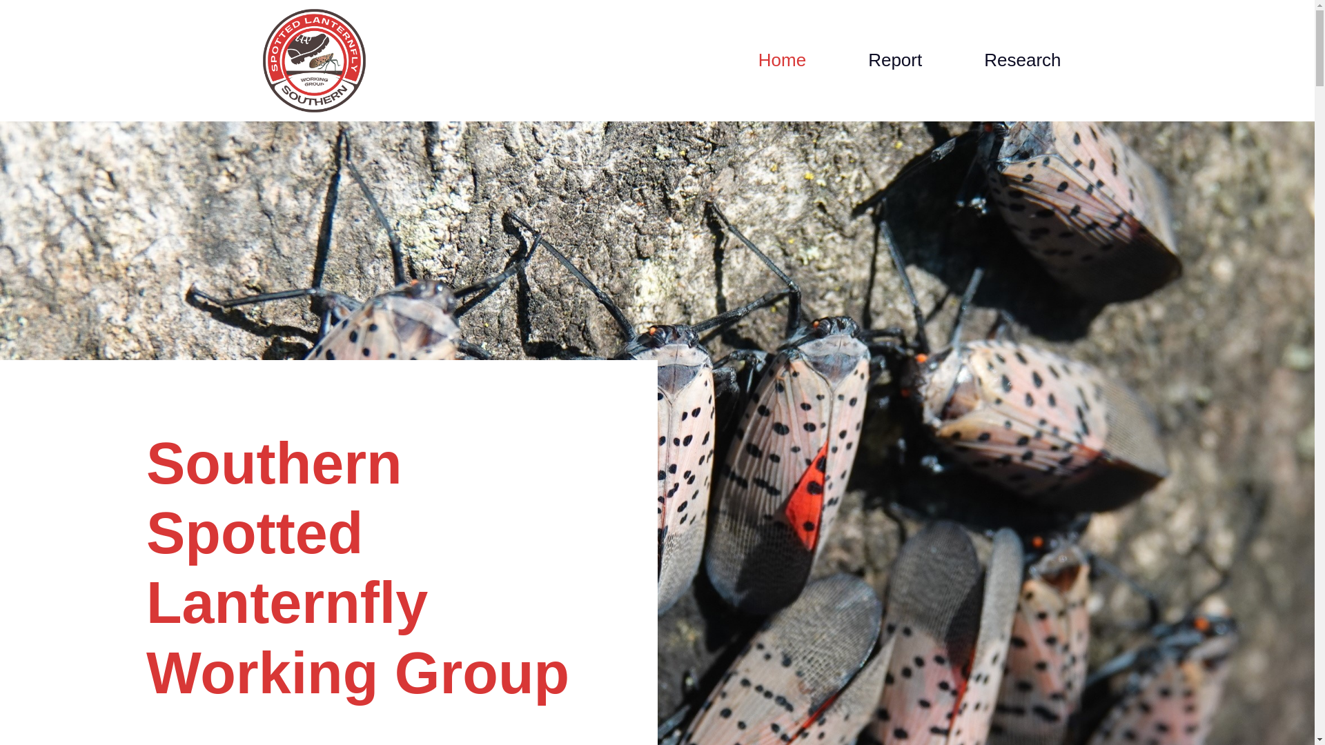 website screenshot of https://southernslf.org/