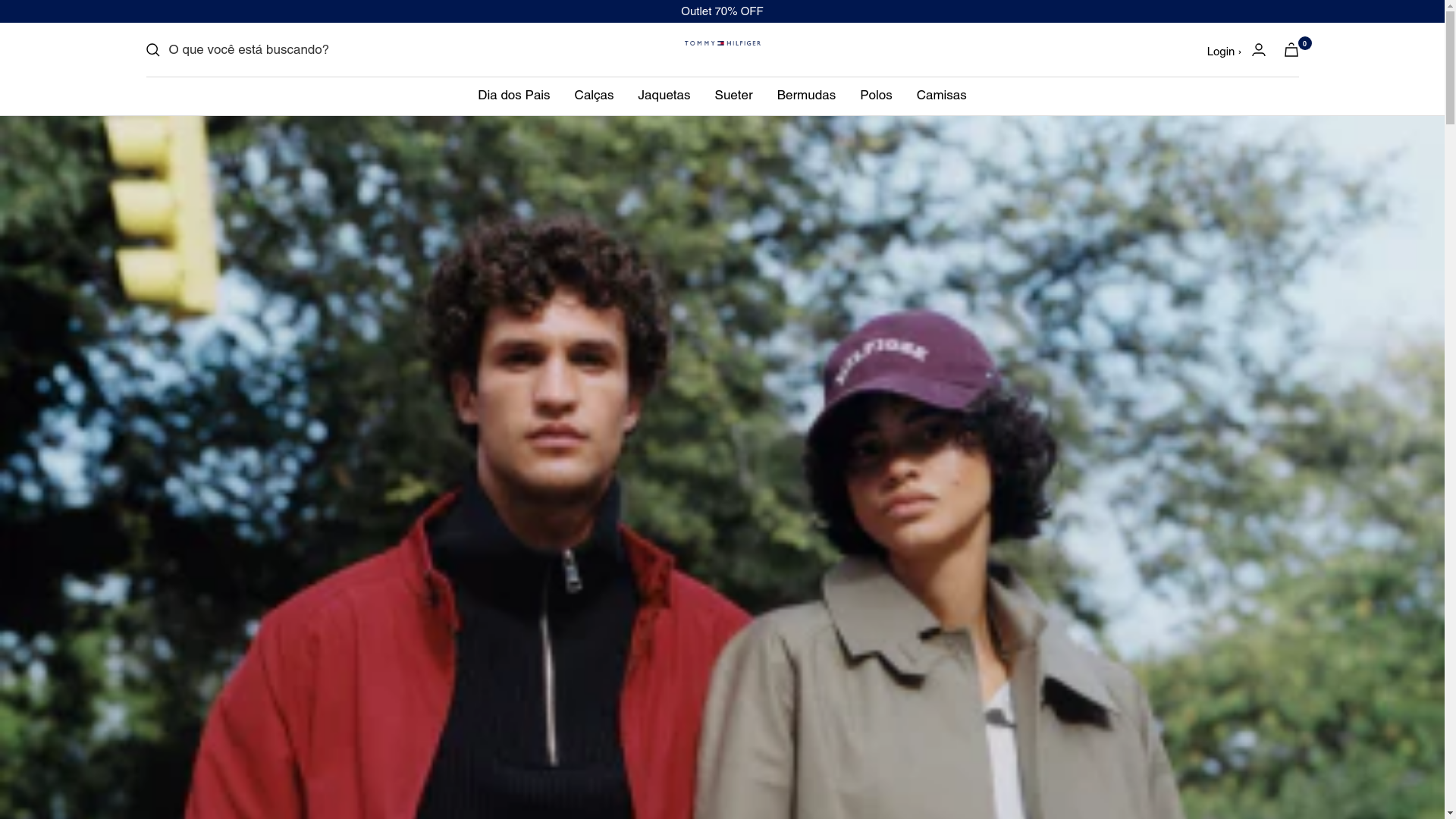 website screenshot of https://tommyhifiger.site/