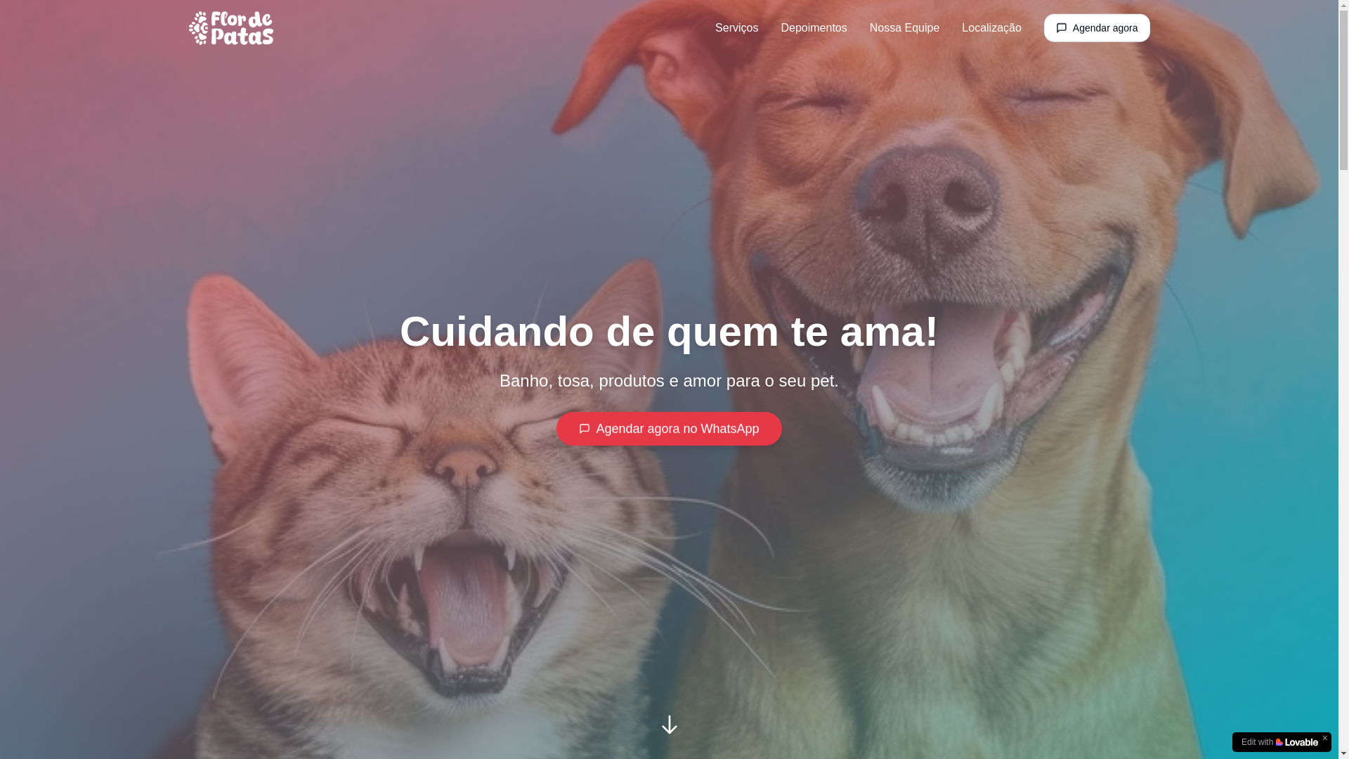 website screenshot of https://flordepatas.com.br/