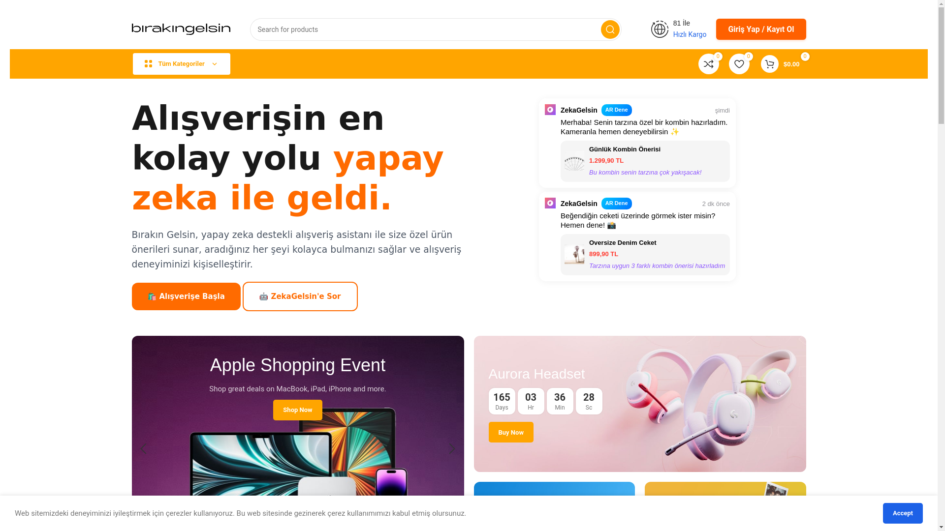 website screenshot of https://birakingelsin.com