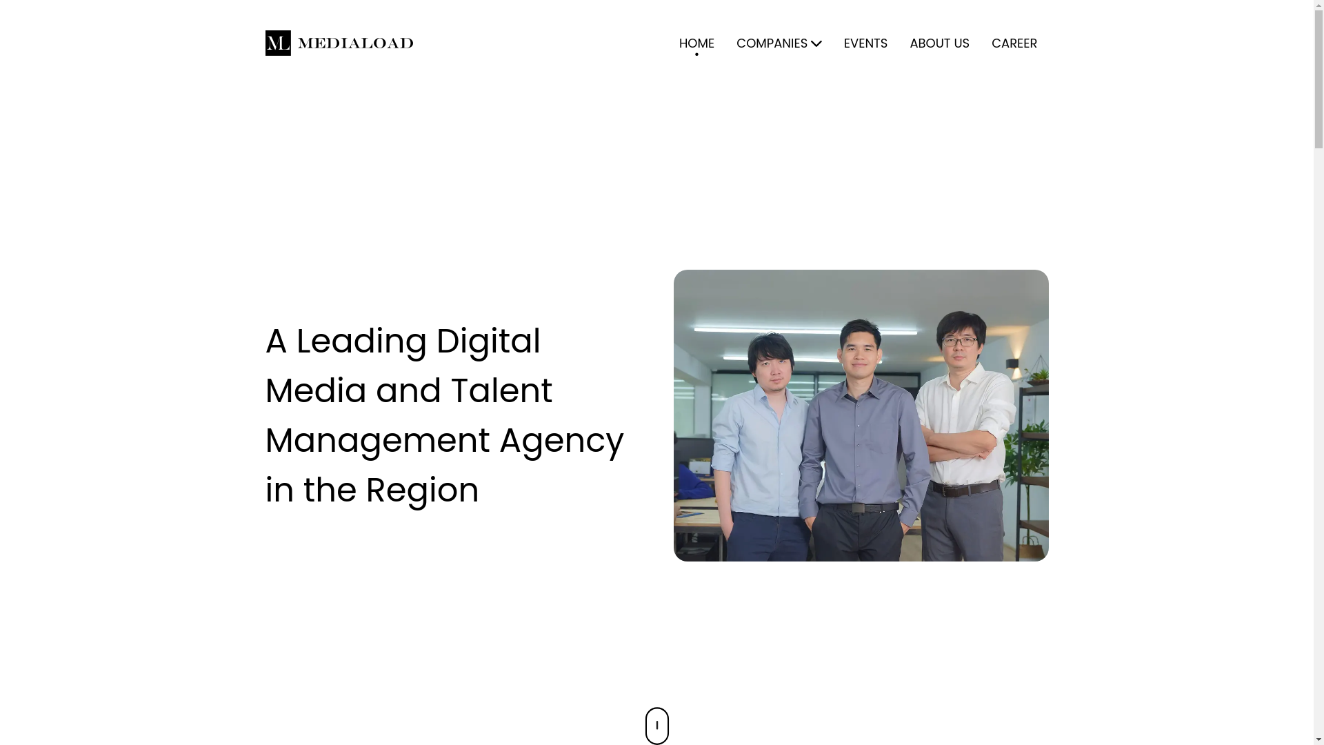 website screenshot of https://mediaload-company-web.pages.dev/