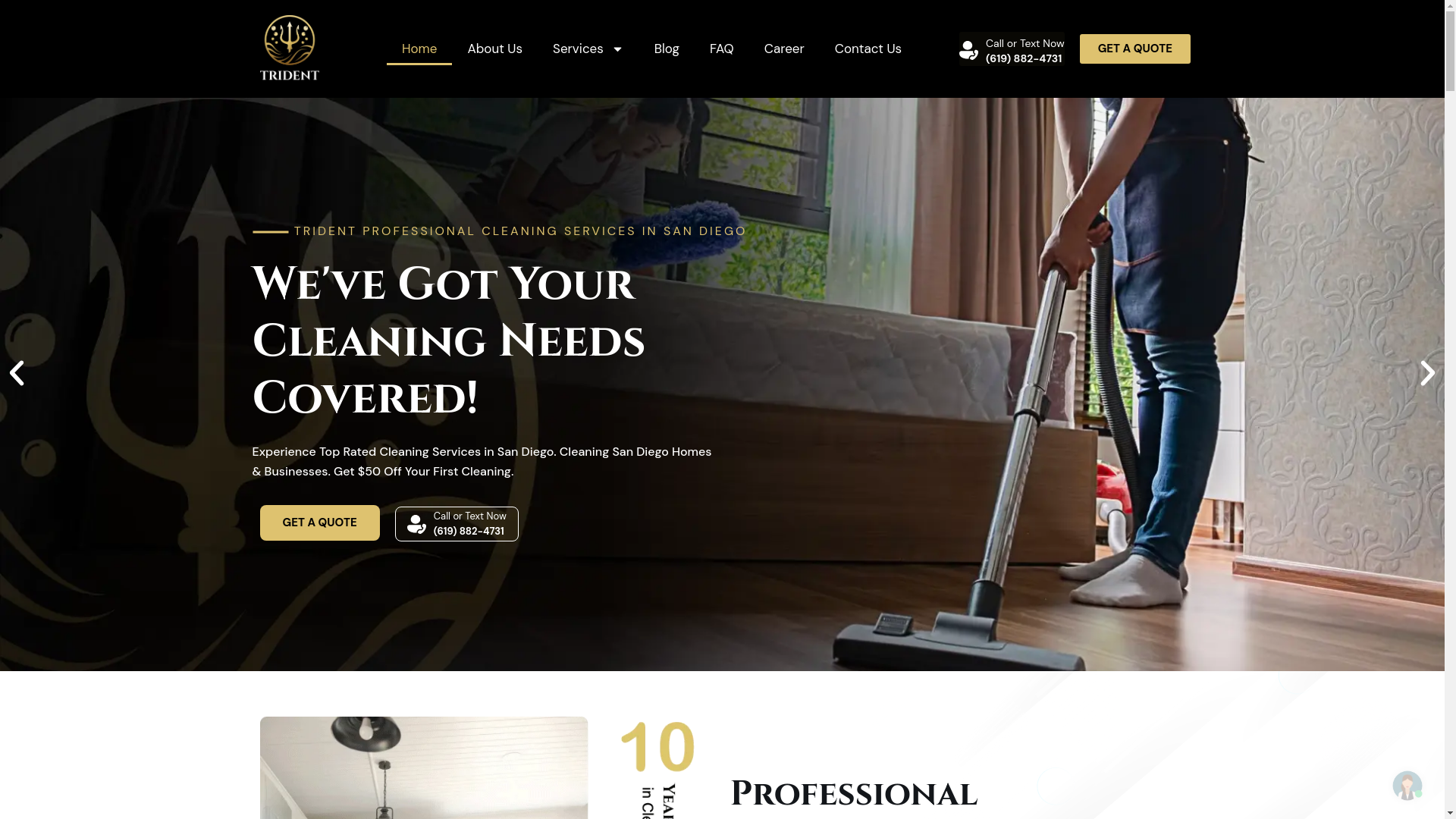 website screenshot of https://trytridentcleanerspros.com/