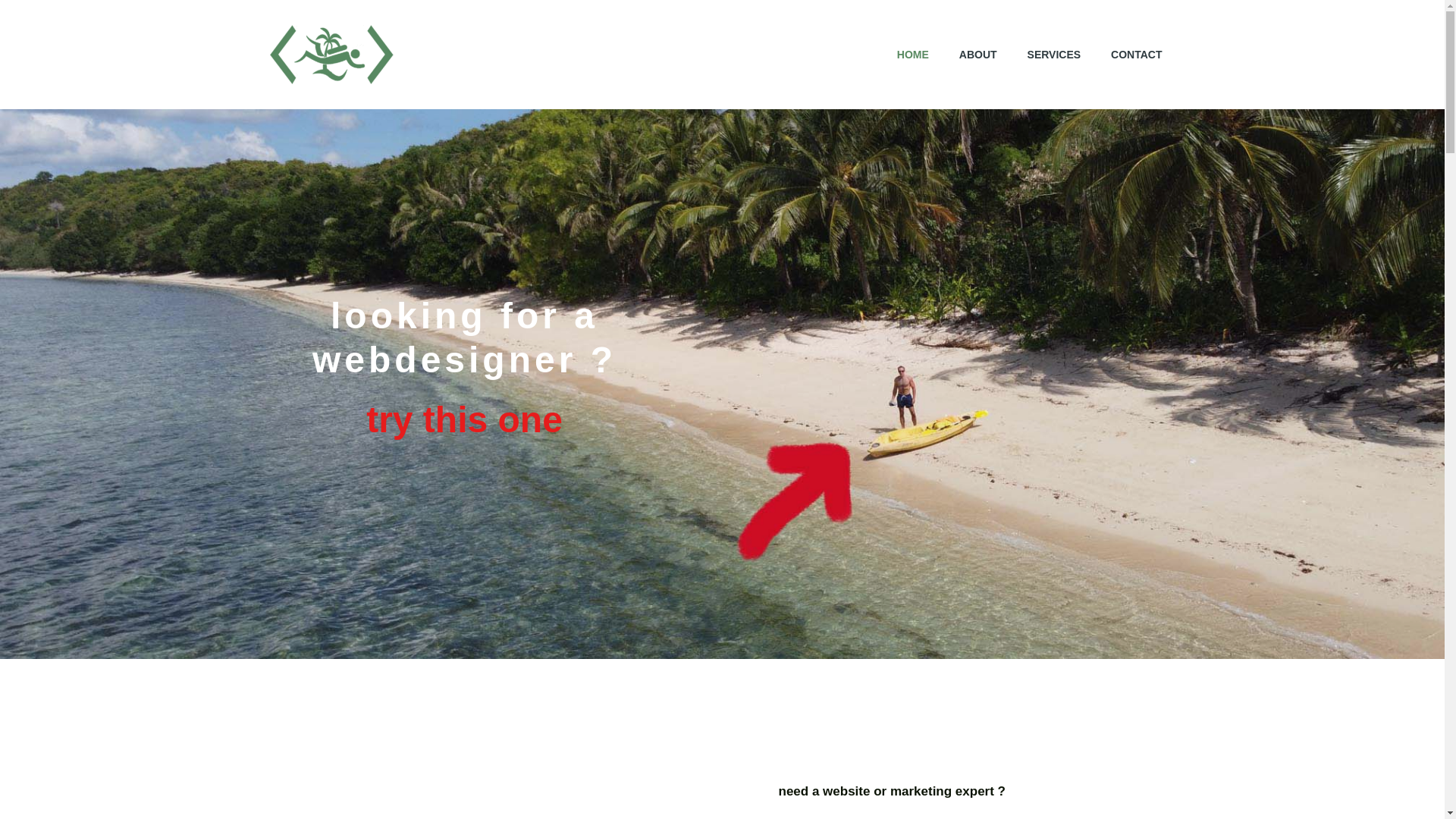 website screenshot of https://blue-waters-digital.com/