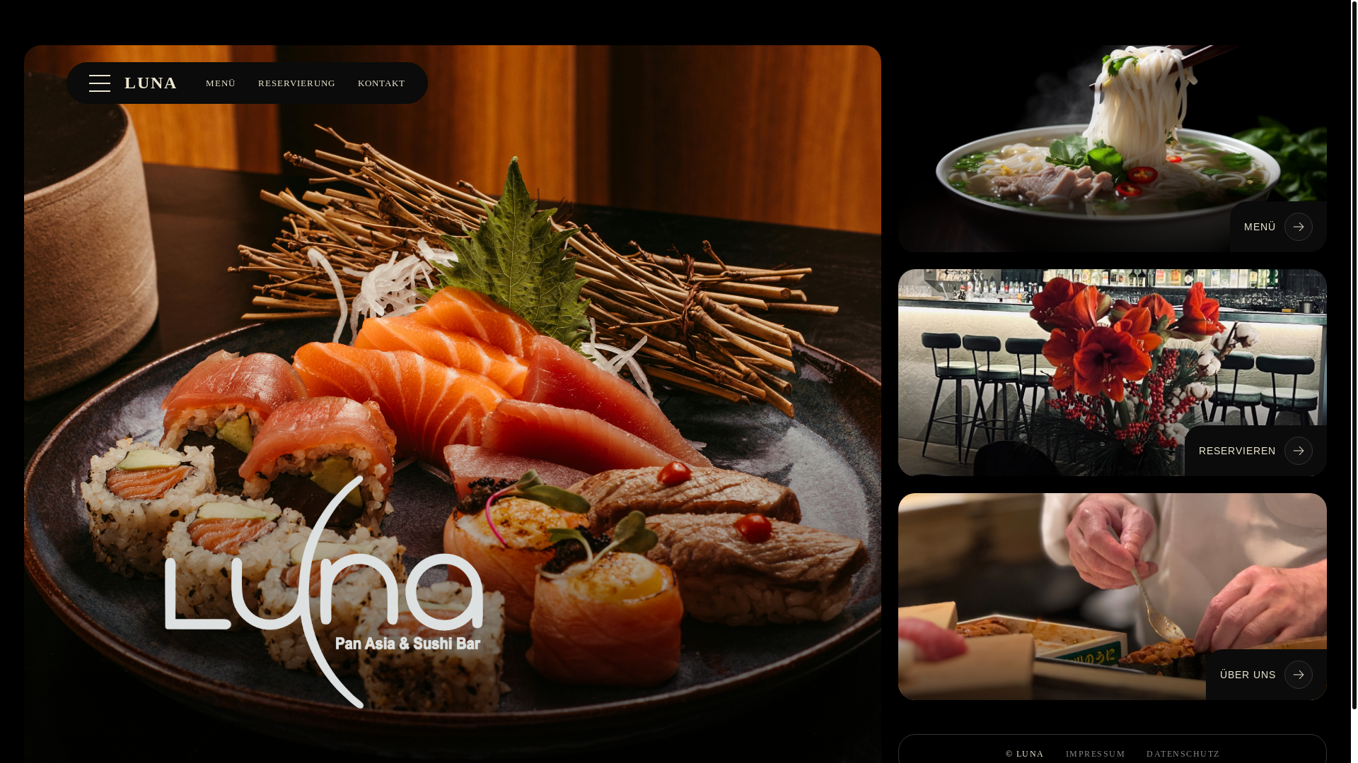 website screenshot of https://luna-panasia.de/