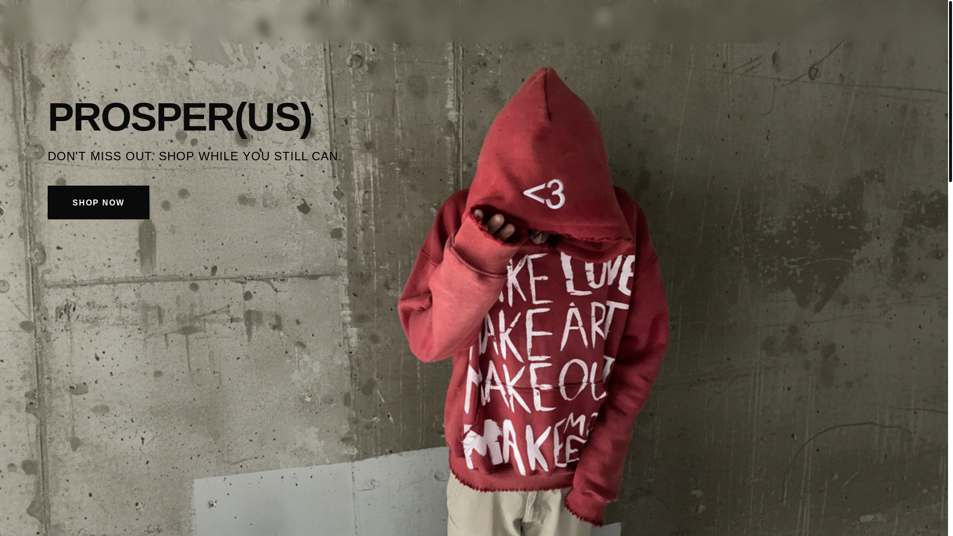 website screenshot of https://prosperuslifestyle.com/