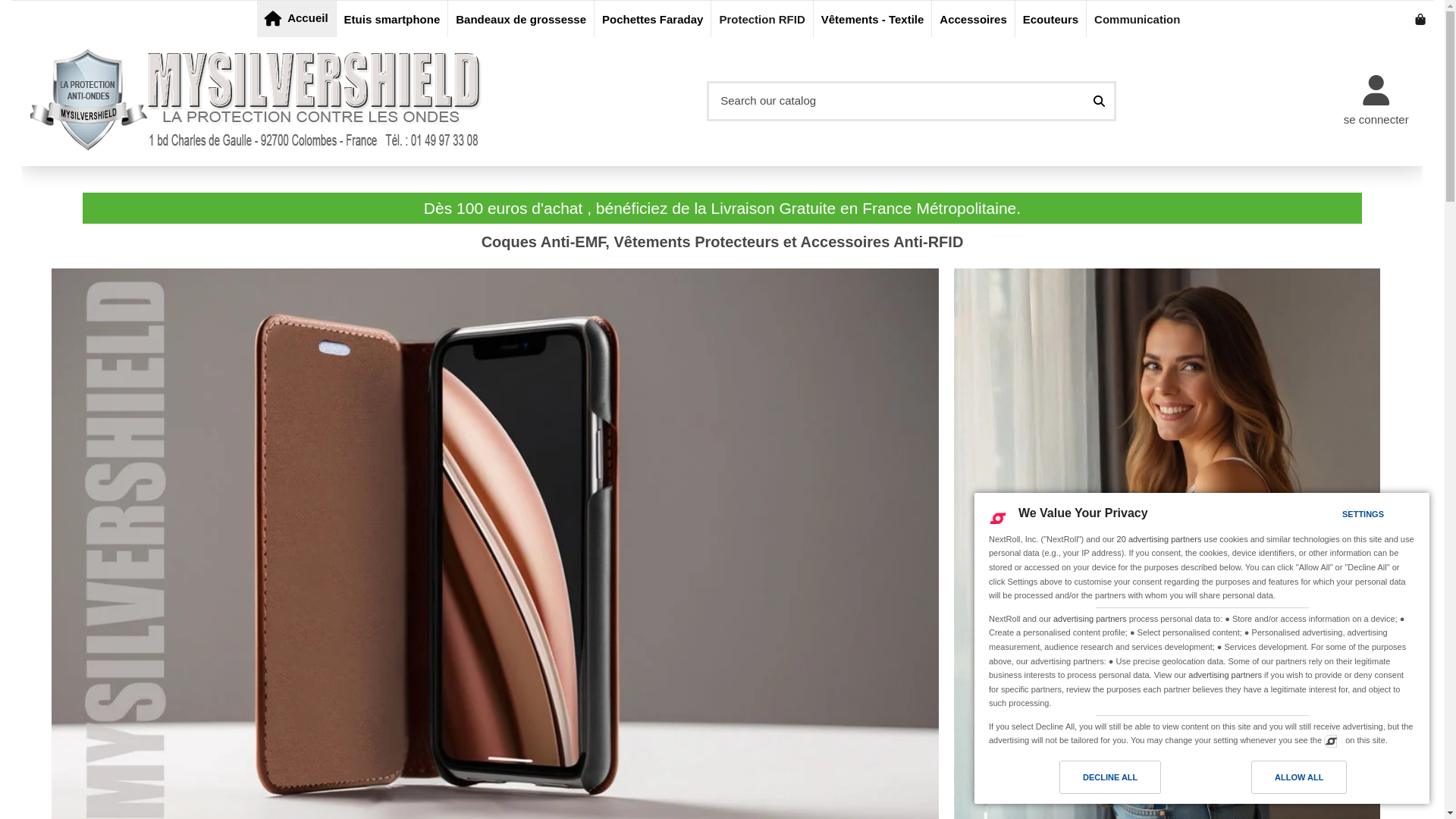website screenshot of https://mail-silvershield.com/