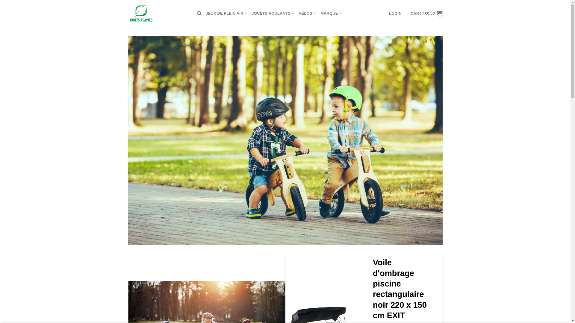 website screenshot of https://jouetsadaptes.com/