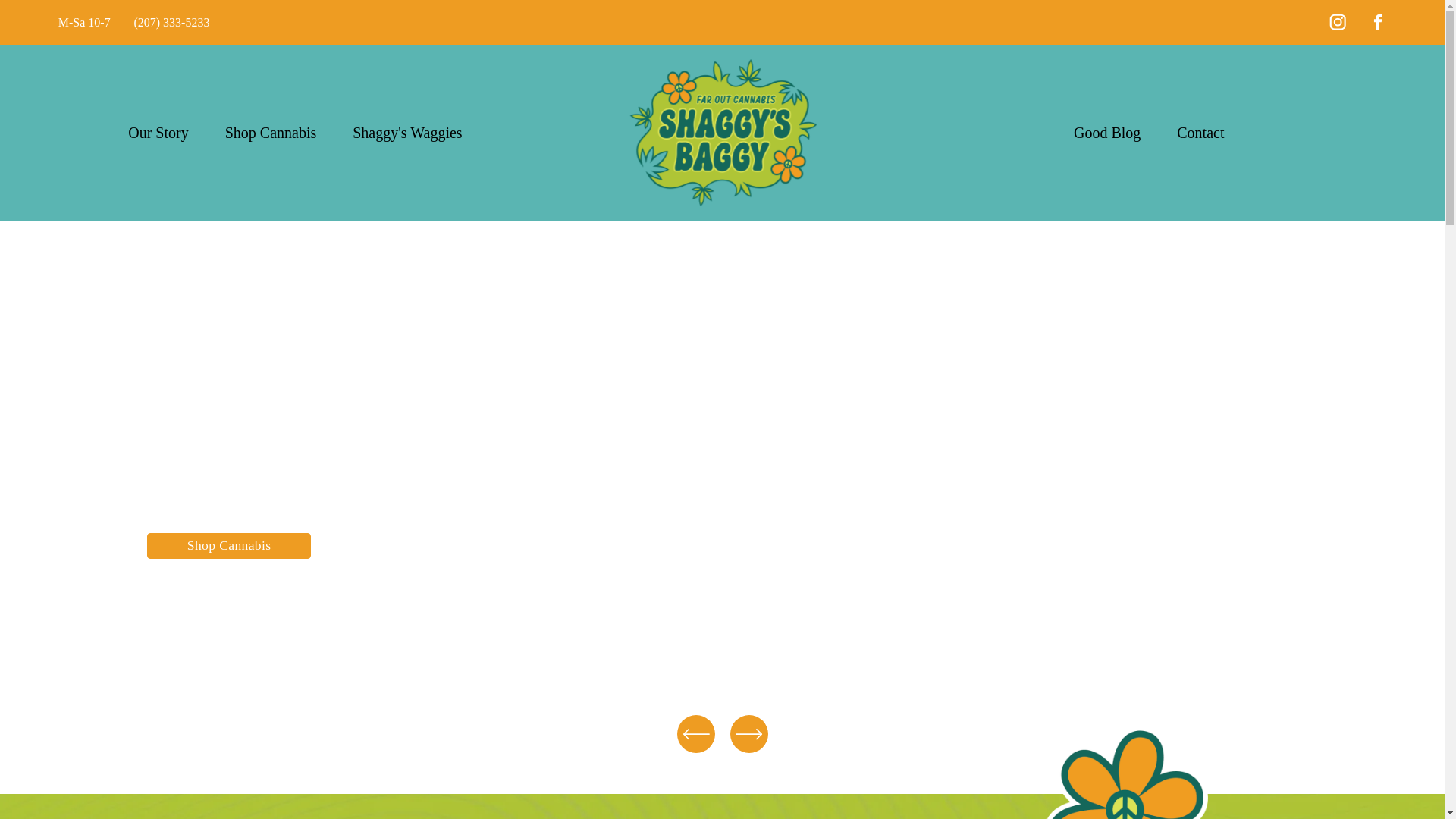 website screenshot of https://shaggy.clothing/