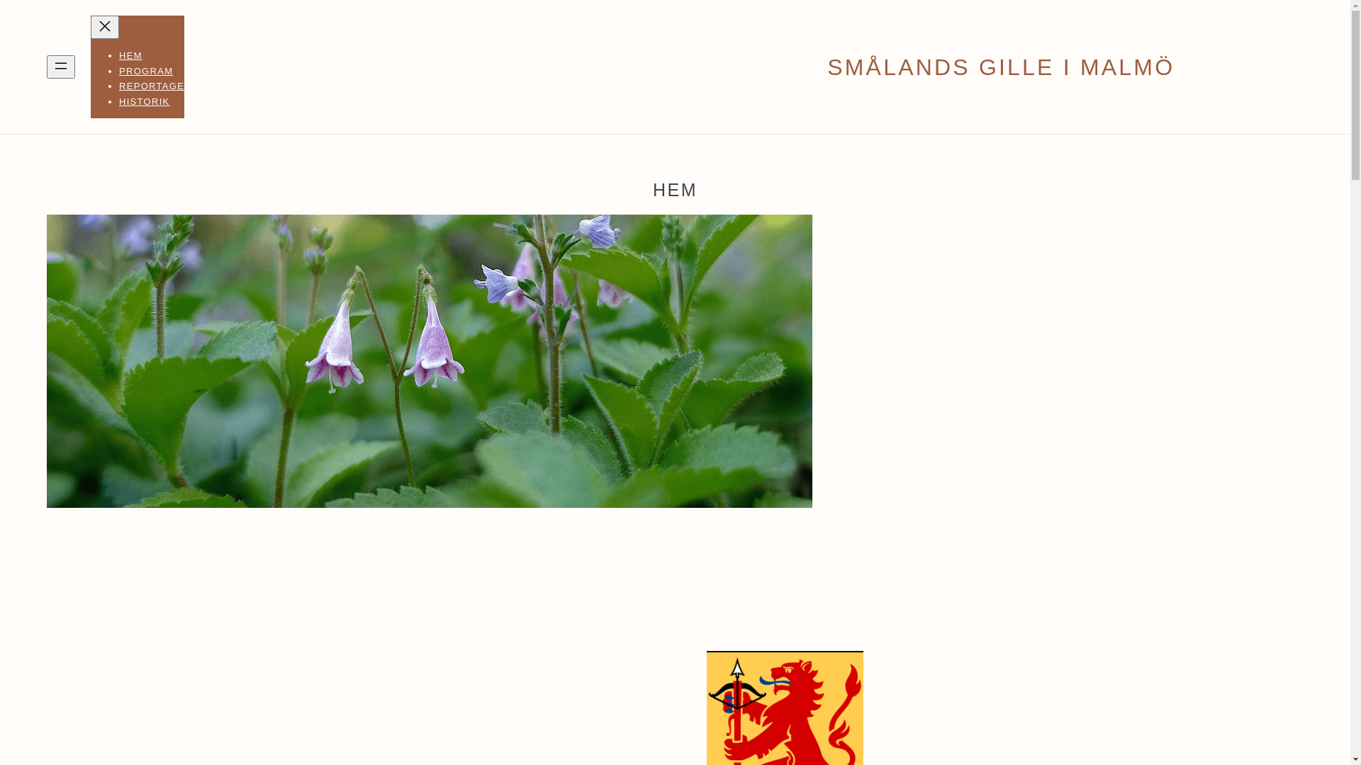website screenshot of https://smalandsgillemalmo.com/