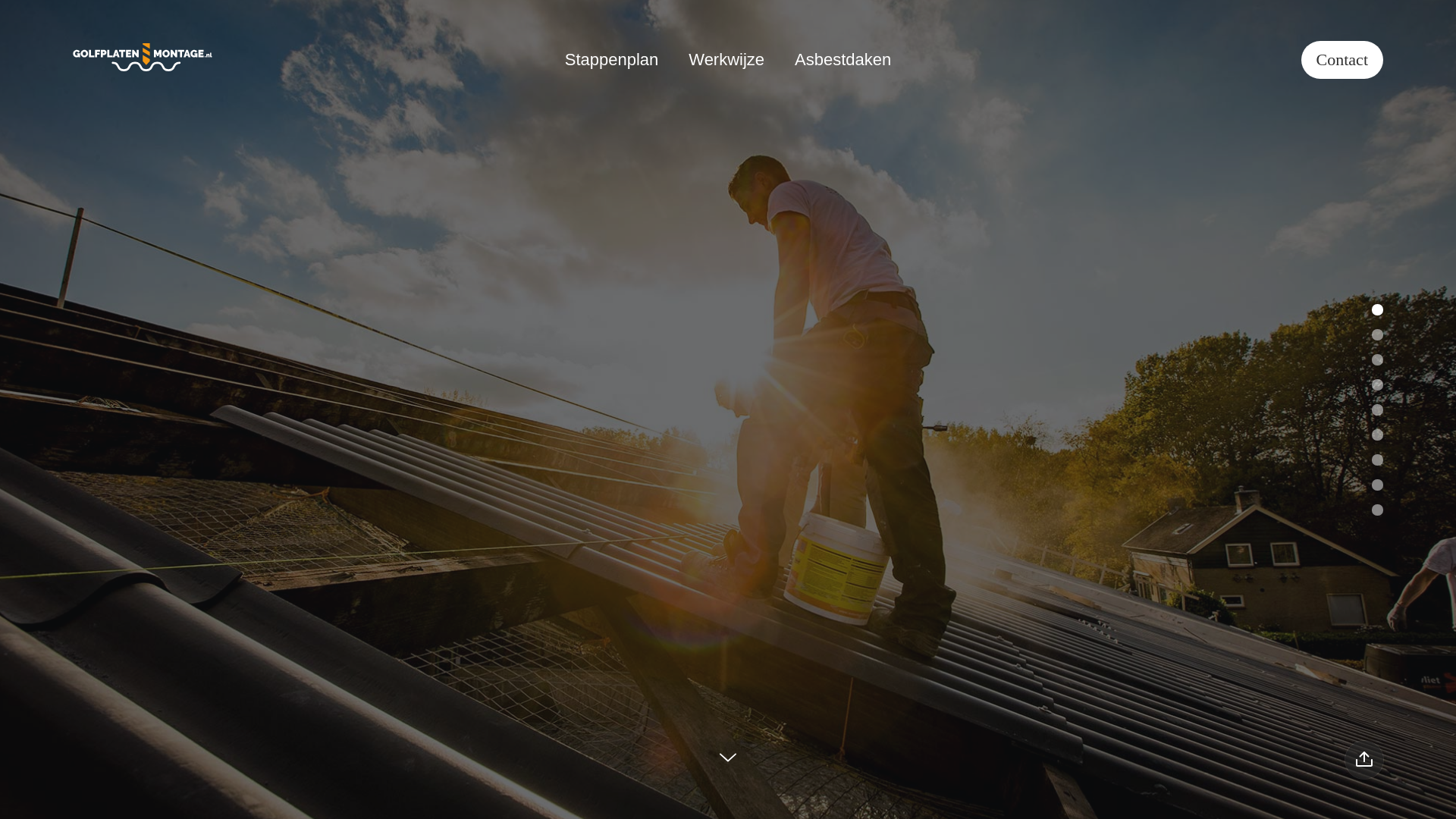 website screenshot of https://golfplatenmontage.nl