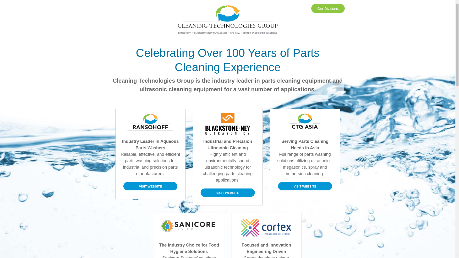 website screenshot of https://ctgclean.services/