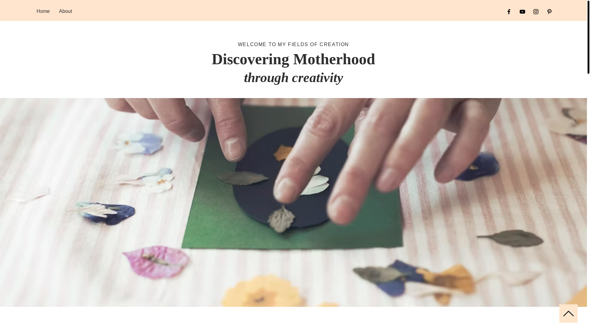 website screenshot of https://fieldsofcreation.com/