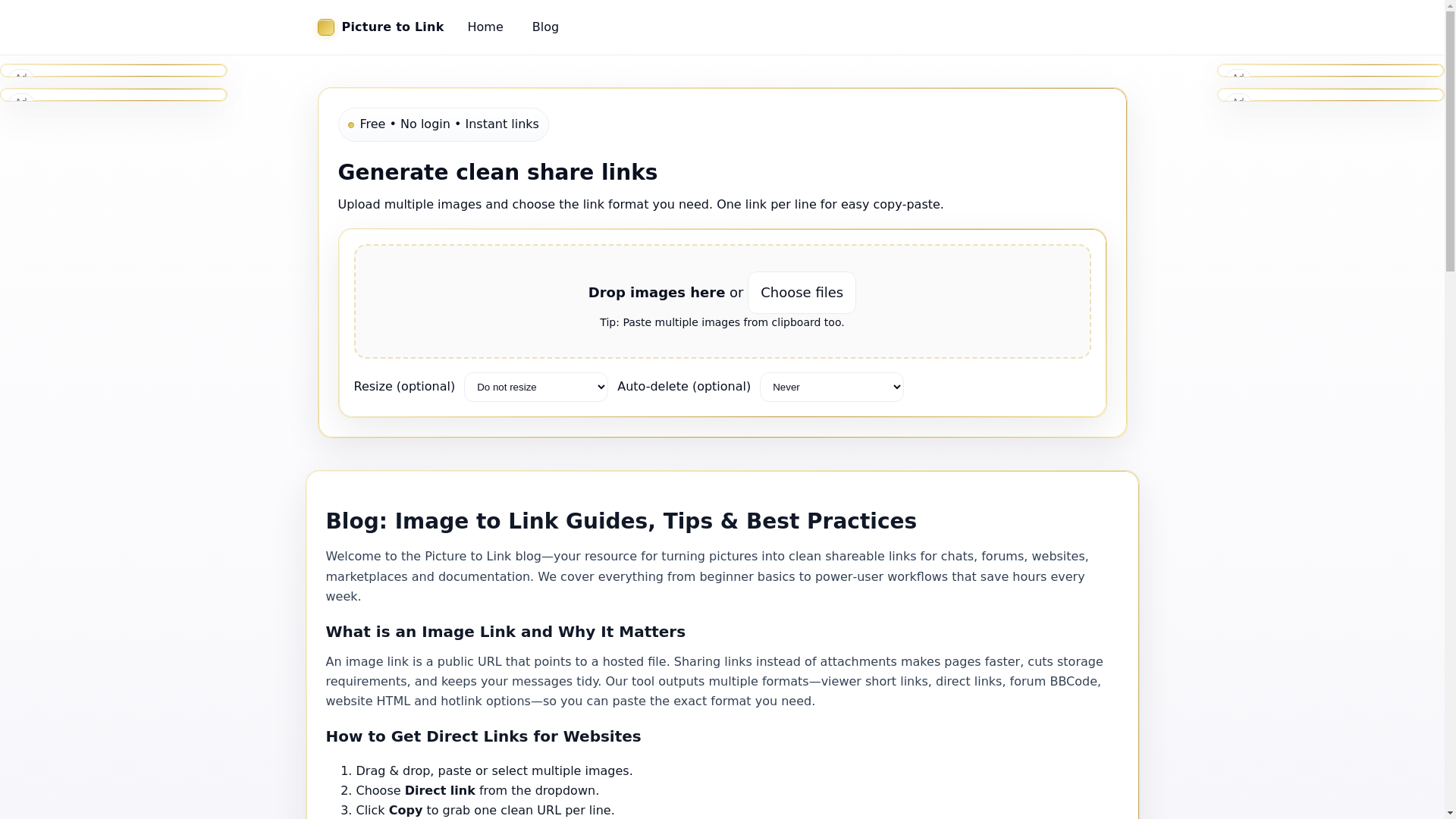 website screenshot of https://picturetolink.com/