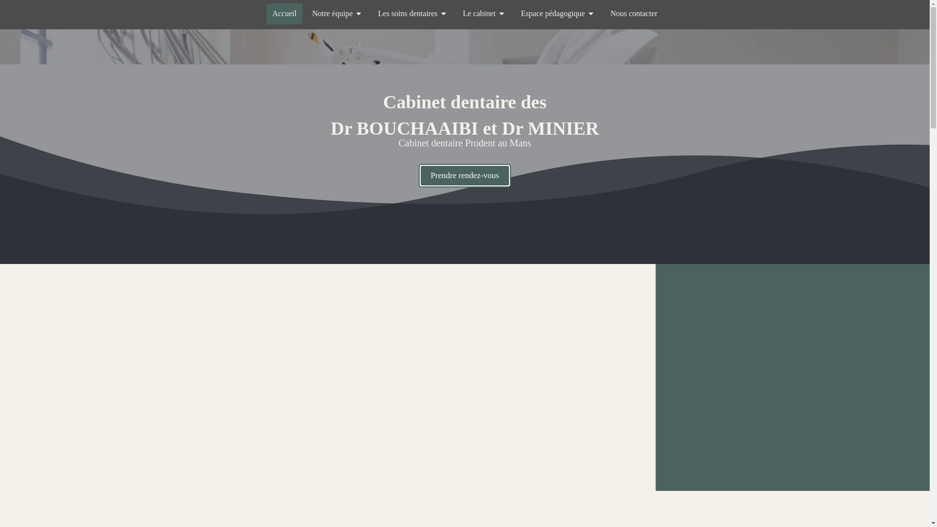 website screenshot of https://lmprodent.com/