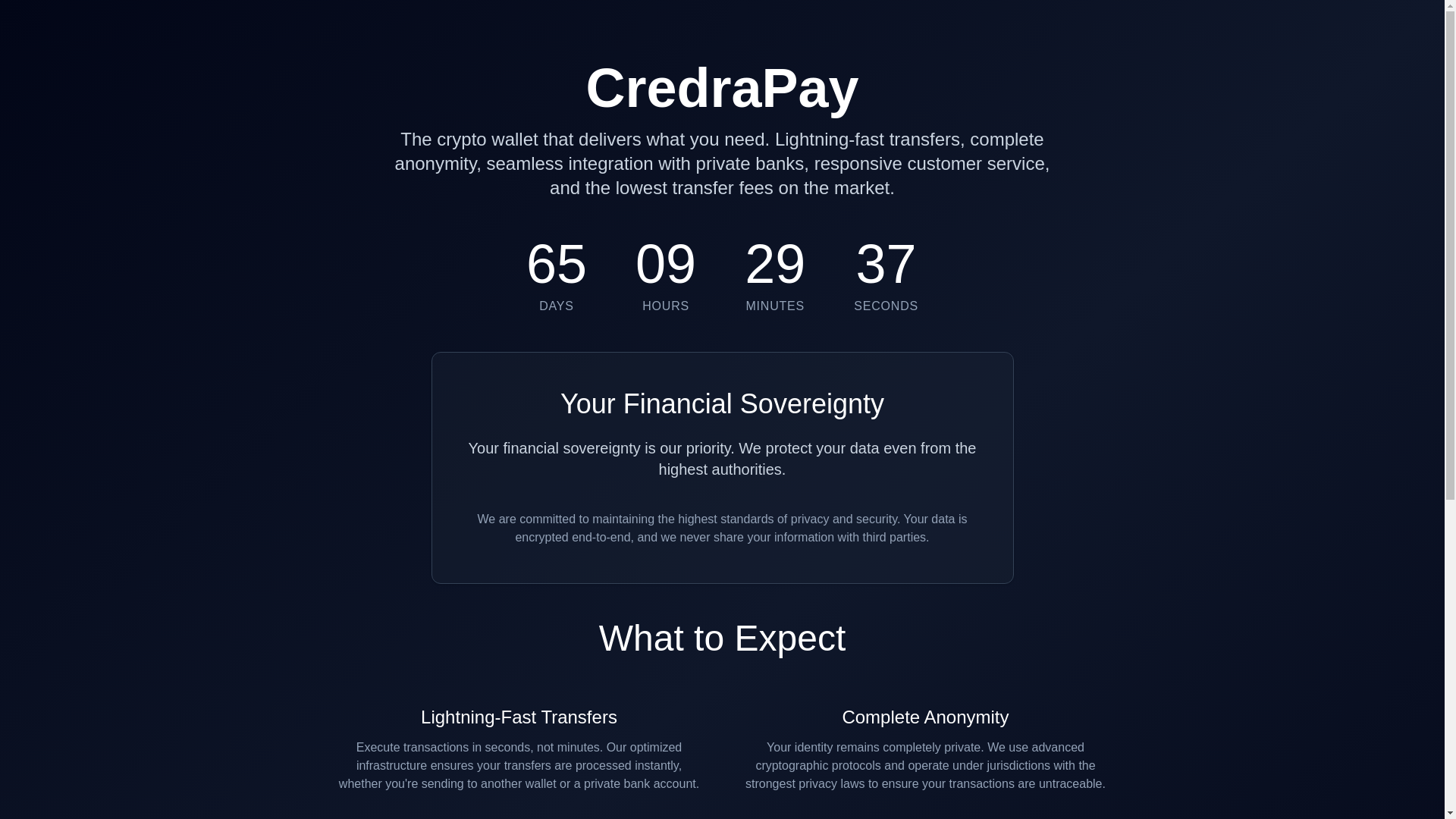 website screenshot of https://credrapay.com/