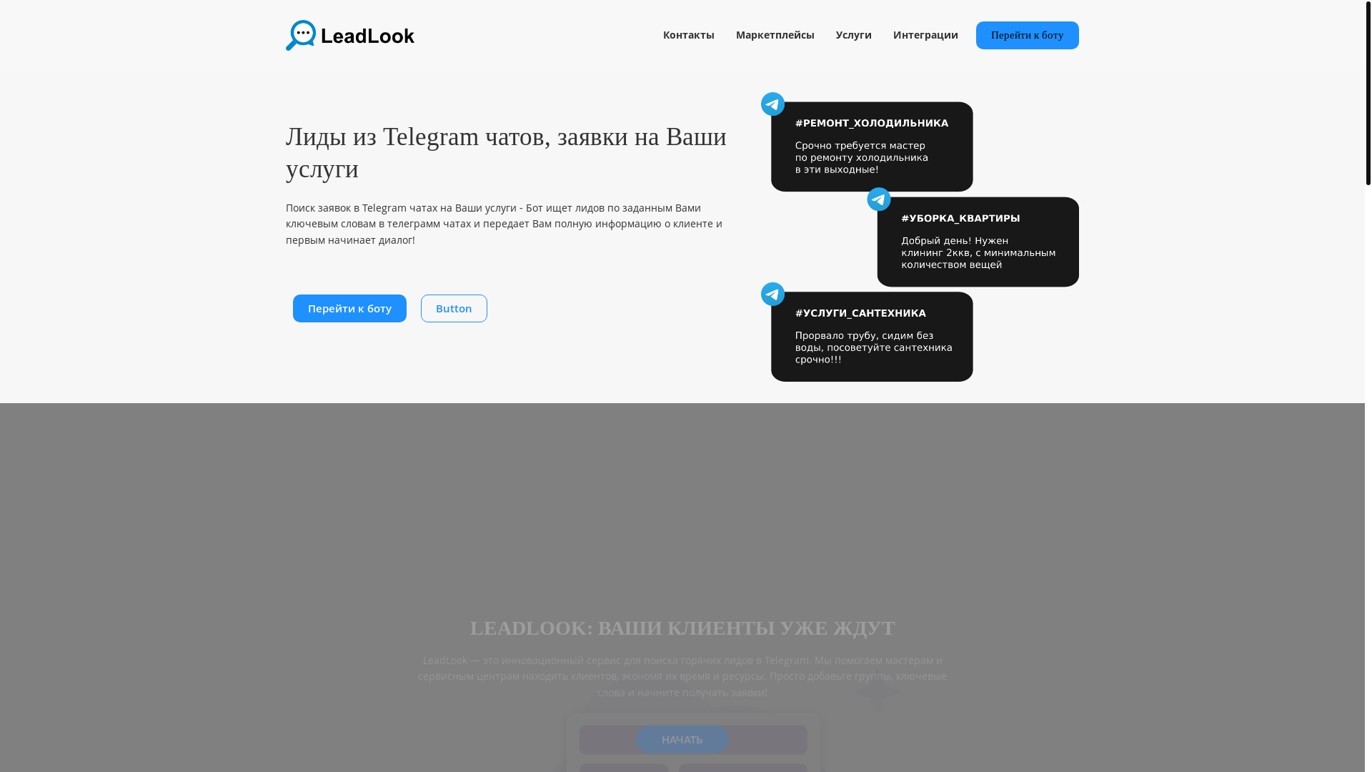 website screenshot of https://leadlook.ru/