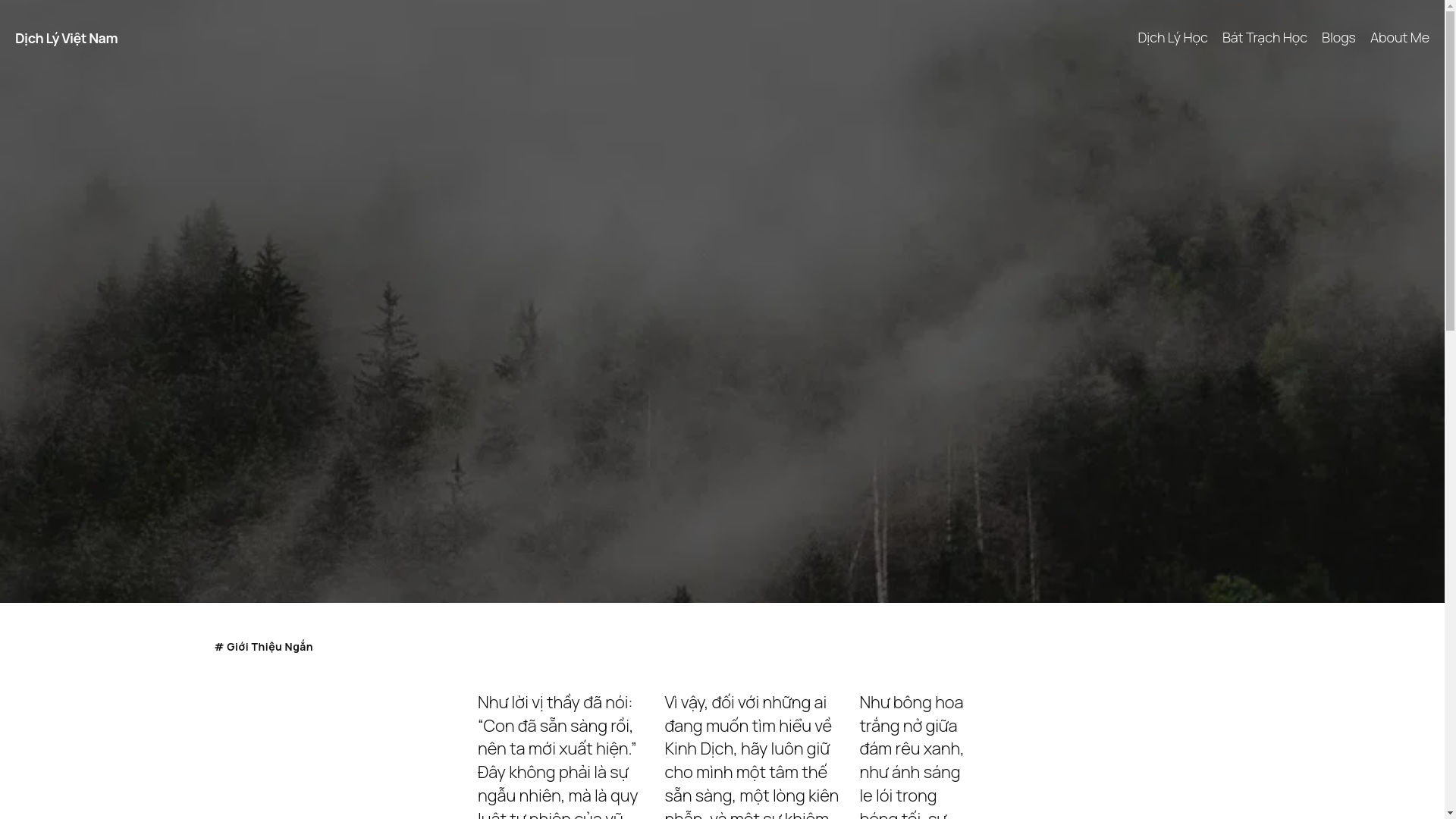 website screenshot of https://vietnamdichlyhoi.vn/