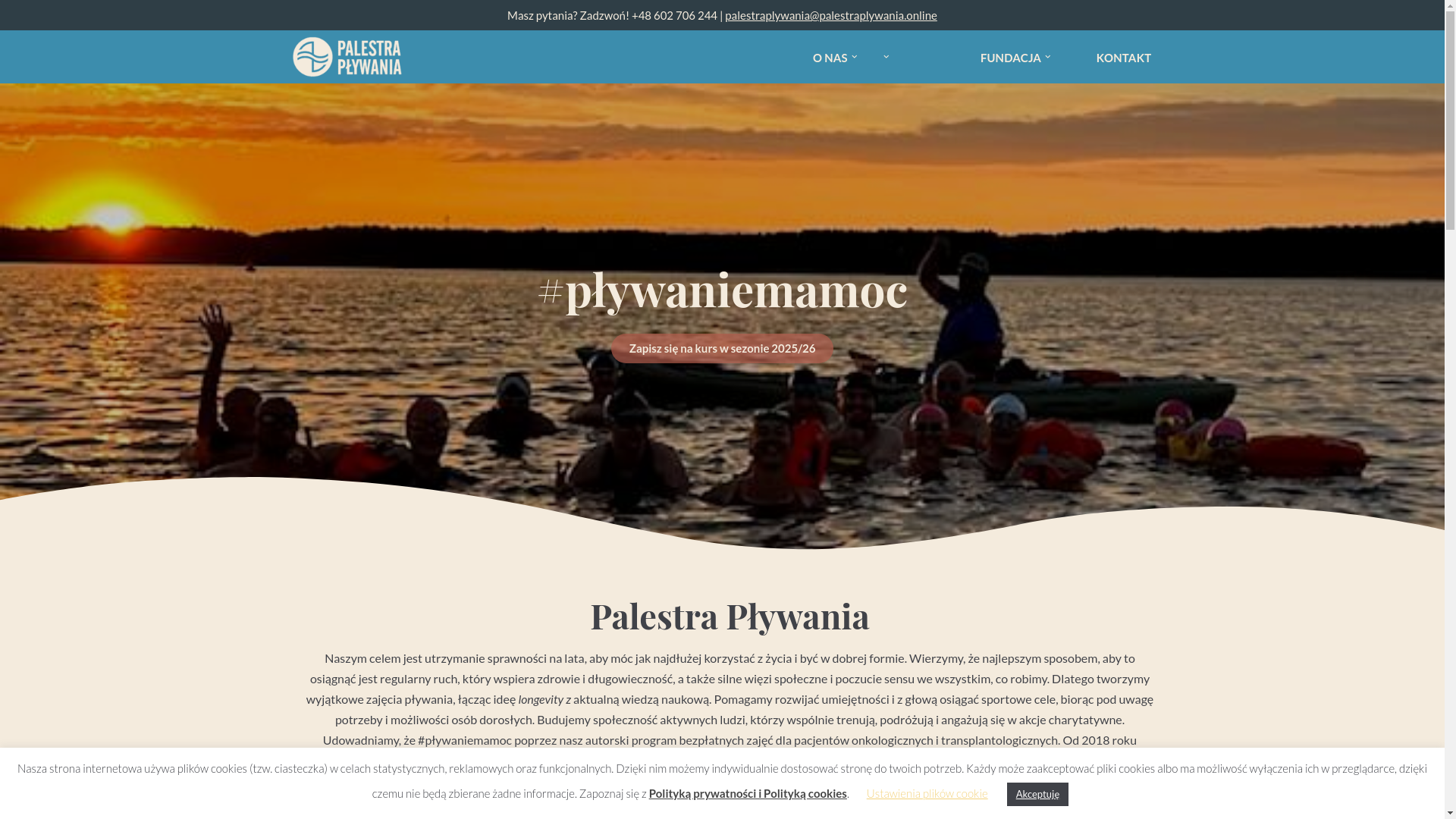 website screenshot of https://palestraplywania.online/