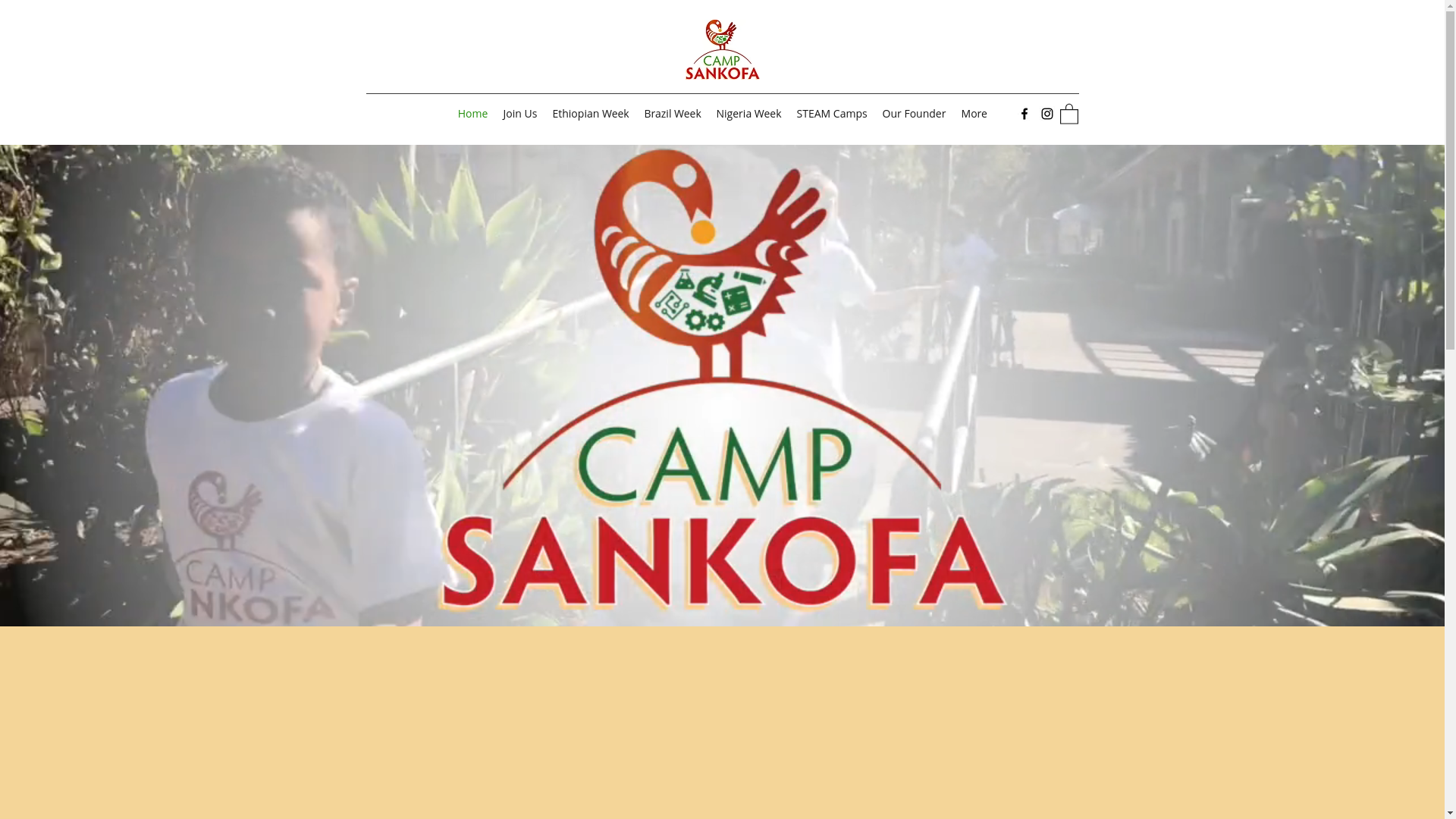 website screenshot of https://campsankofa.net/