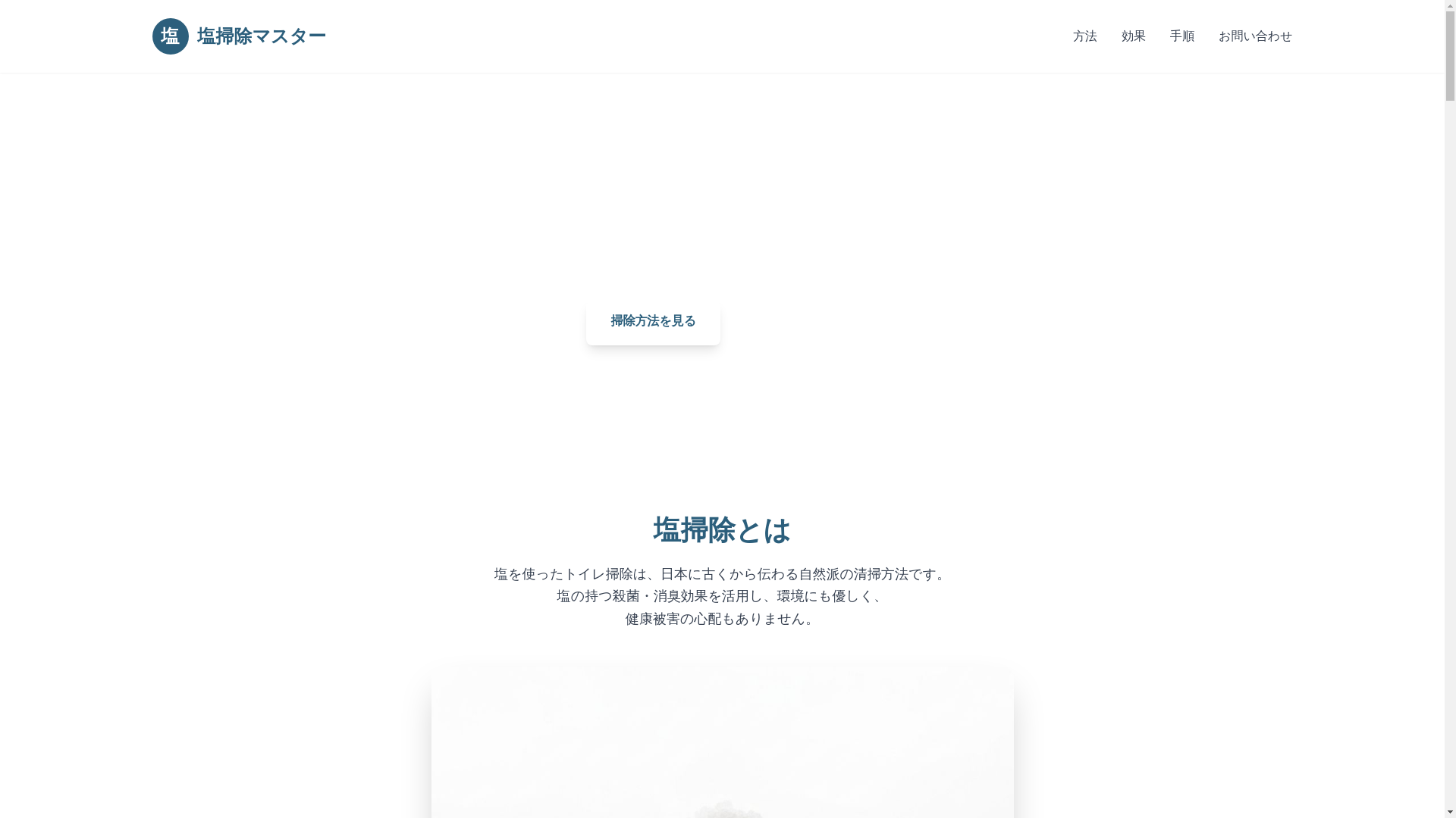 website screenshot of https://jp-saltmaster.cfd/