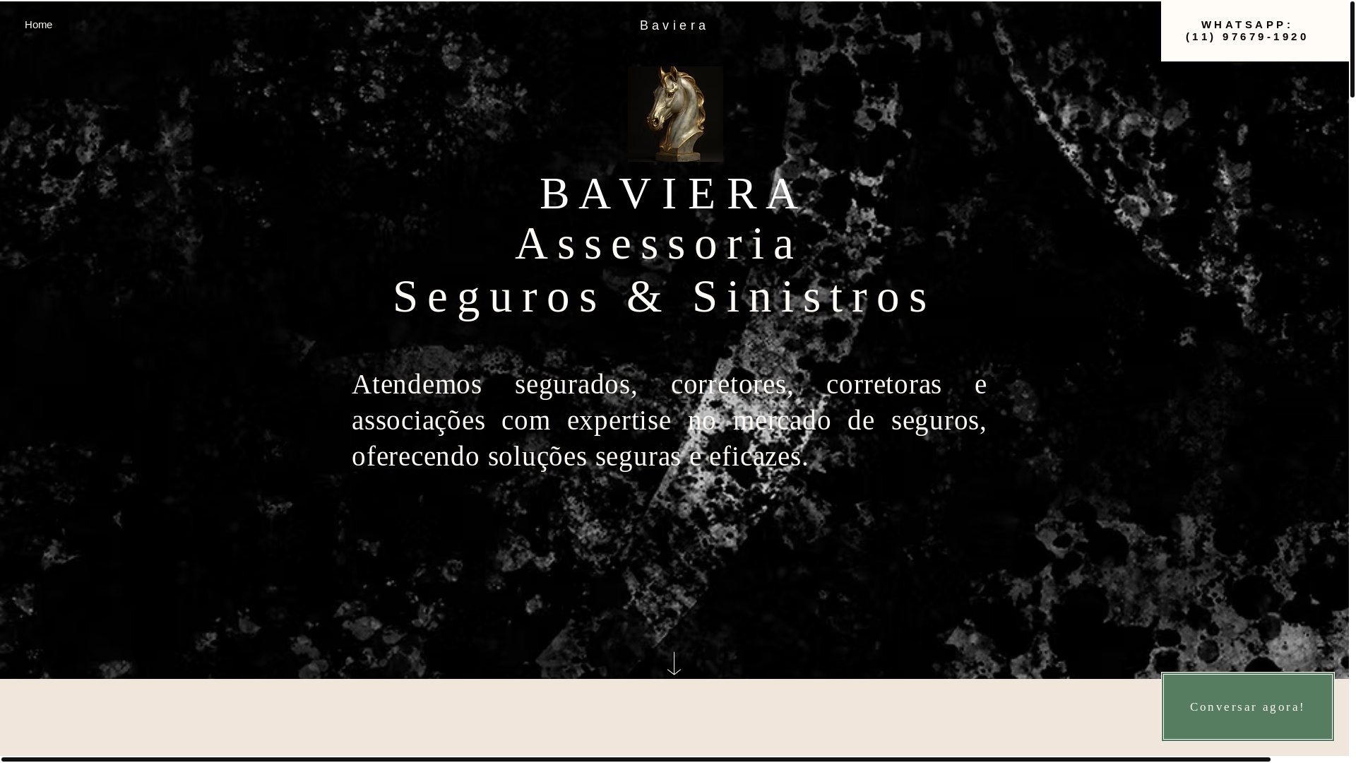 website screenshot of https://bavierah.com/
