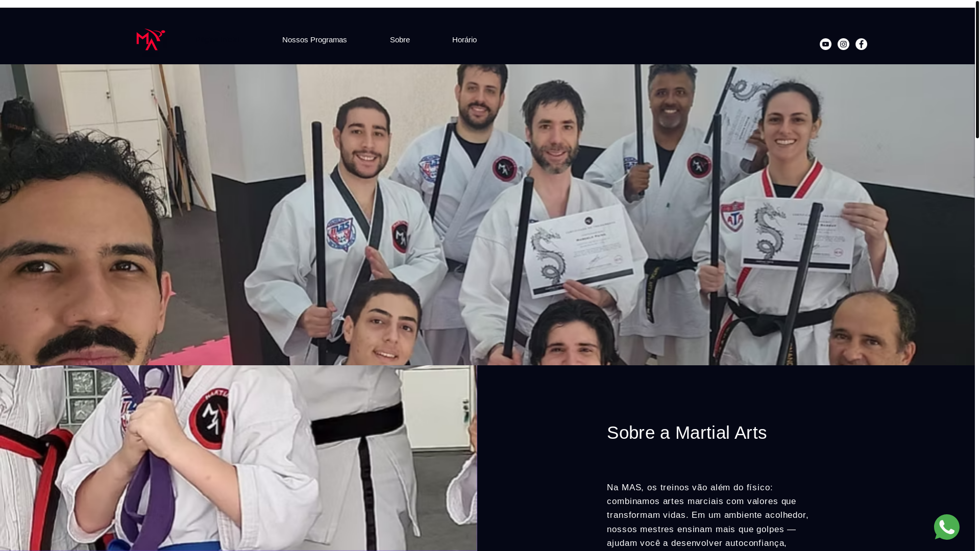 website screenshot of https://masvilamariana.com.br/