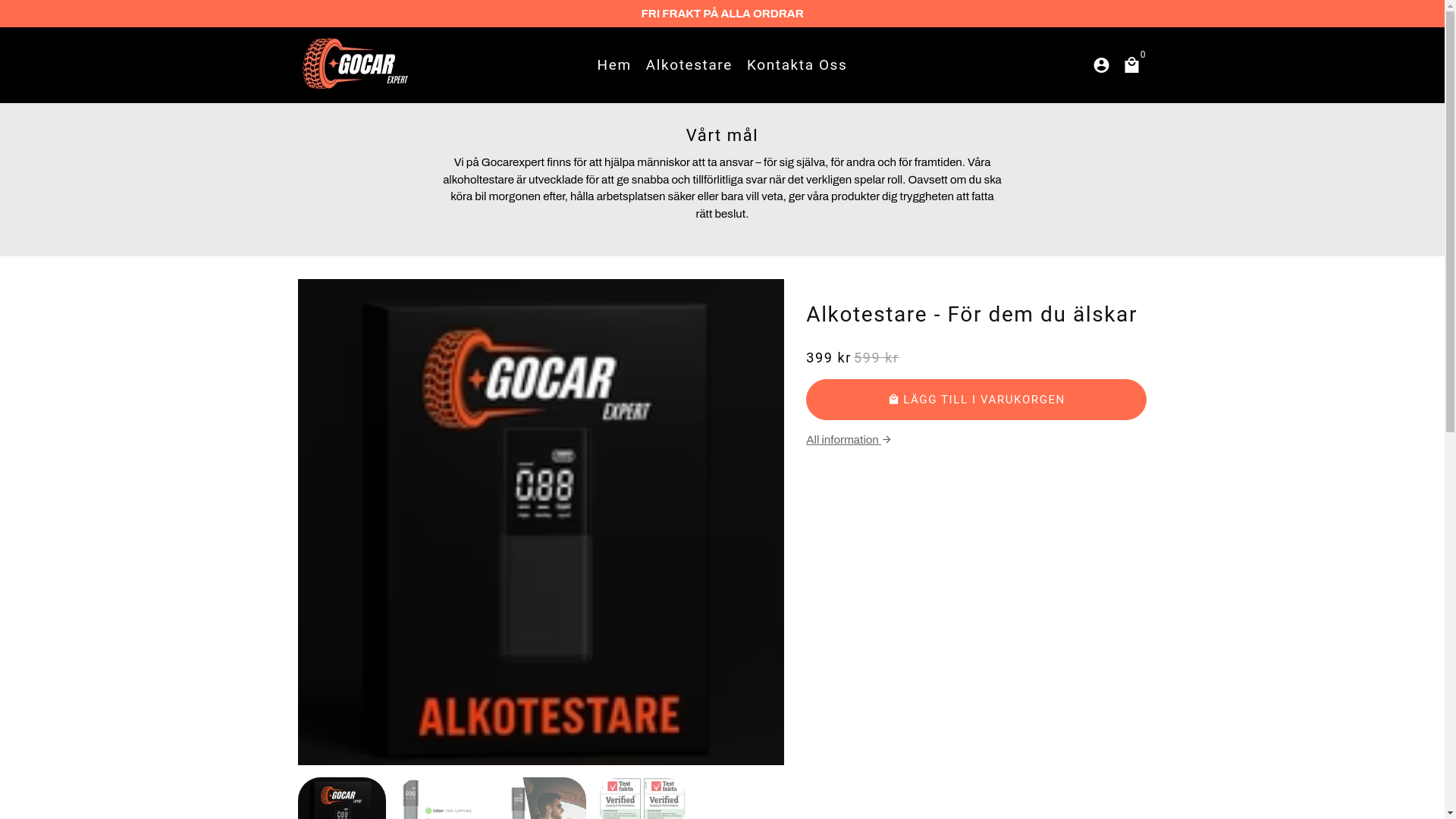 website screenshot of https://gocarexpert.se/