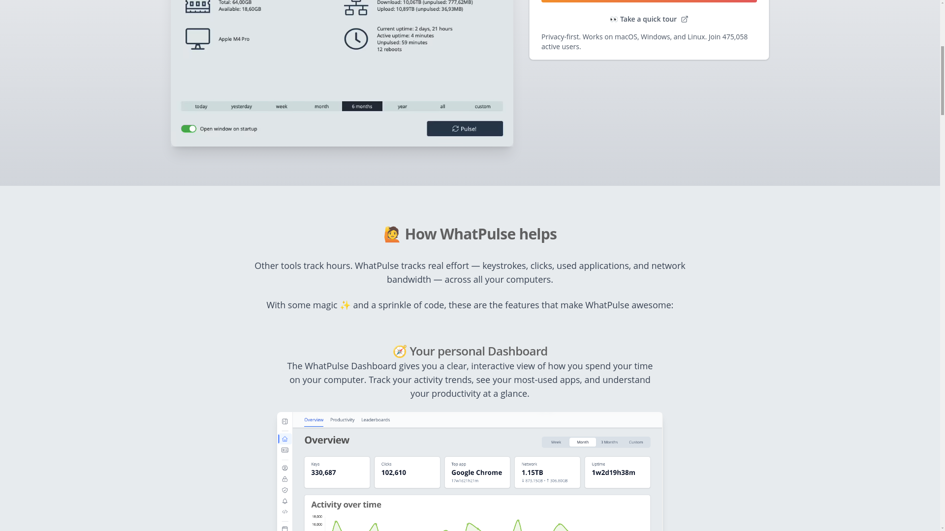 website screenshot of https://whatpulse.org