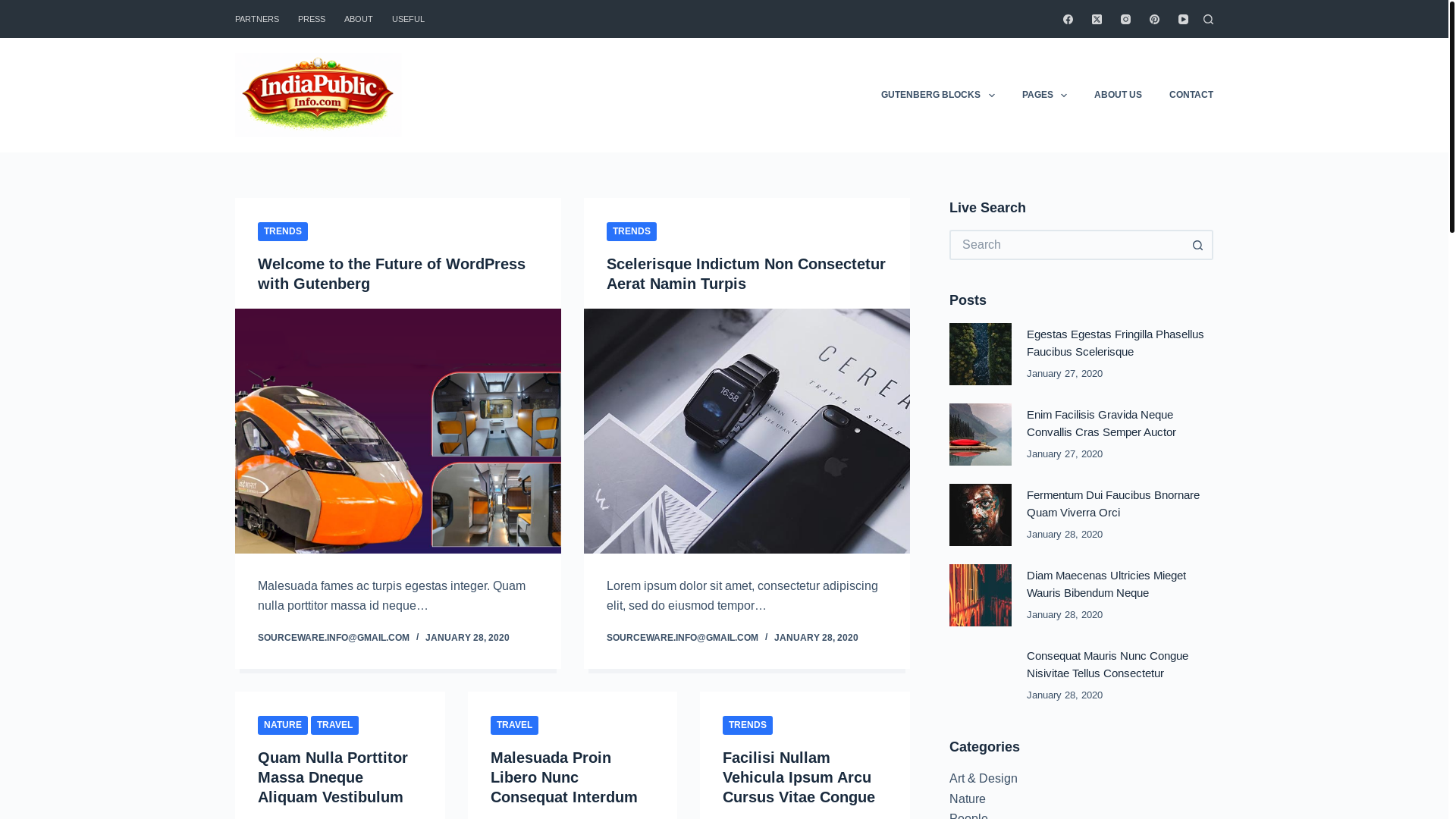 website screenshot of https://indiapublicinfo.com/