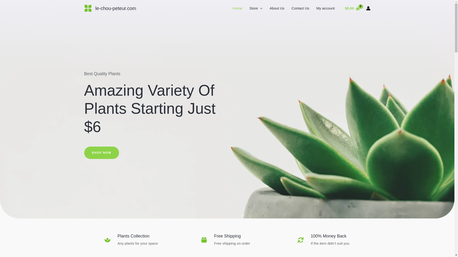 website screenshot of https://le-chou-peteur.com/