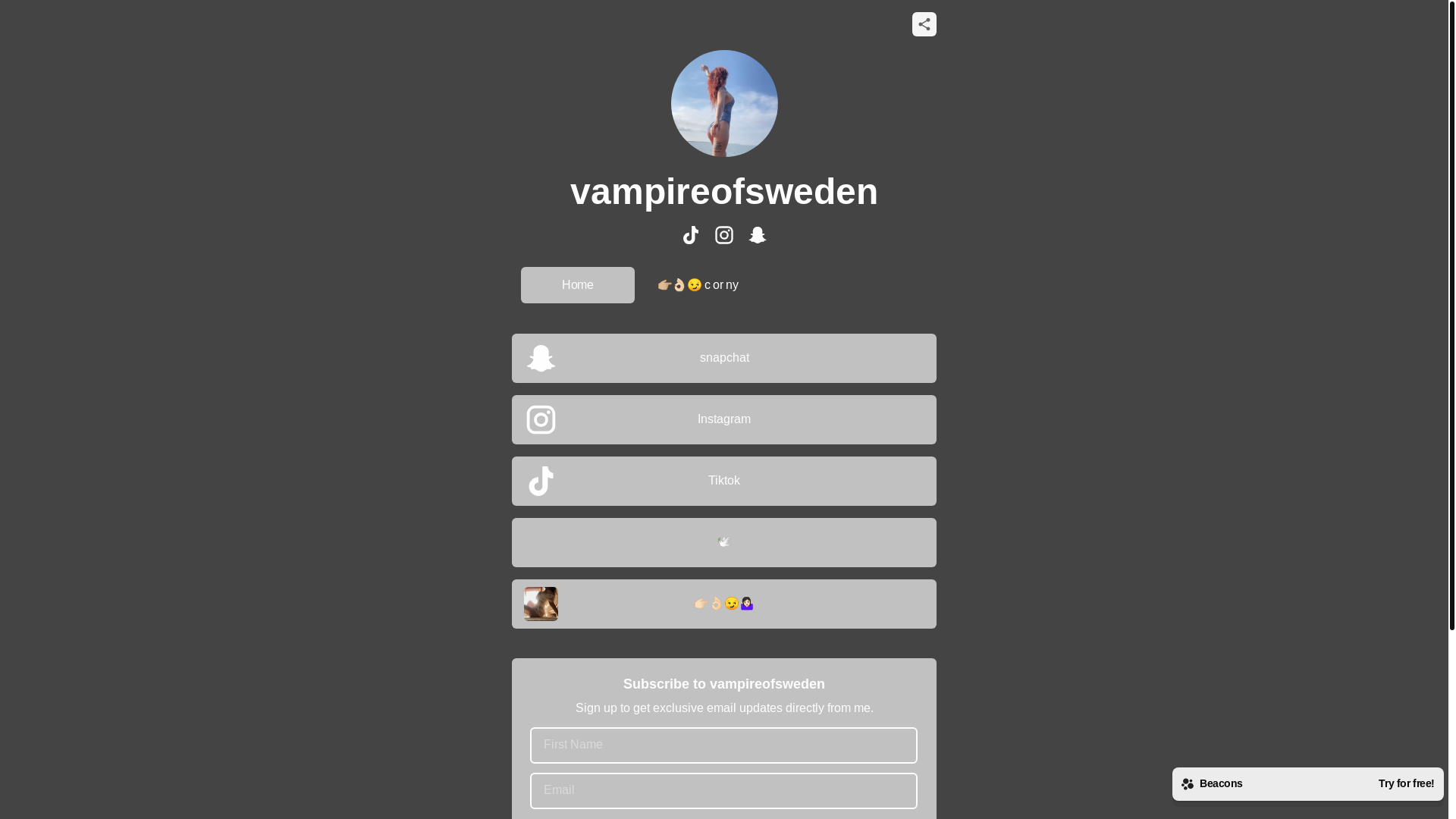 website screenshot of https://vampireofsweden.com/