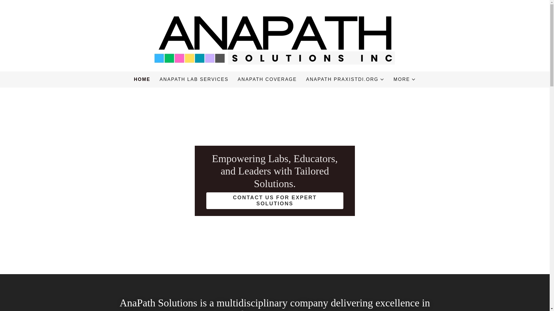 website screenshot of https://anapathpraxis.com/