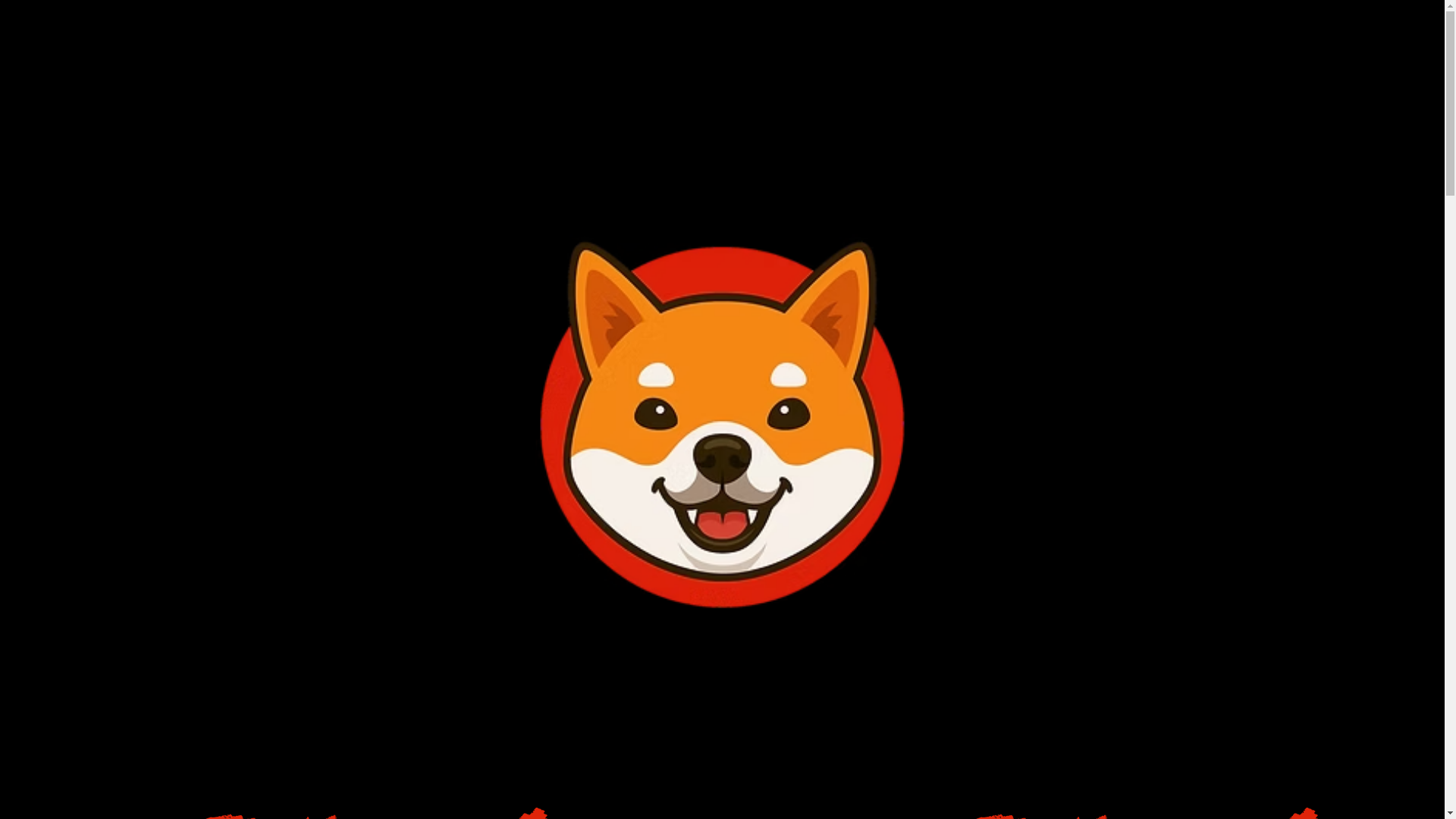 website screenshot of https://shibainufun.xyz/